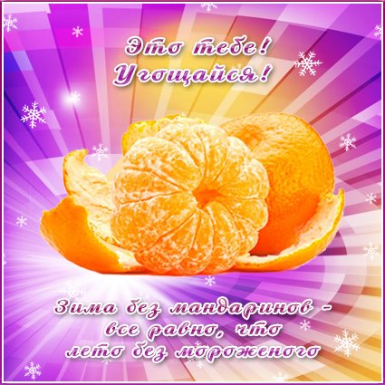 A postcard on the subject of tangerines food sladkoe for free