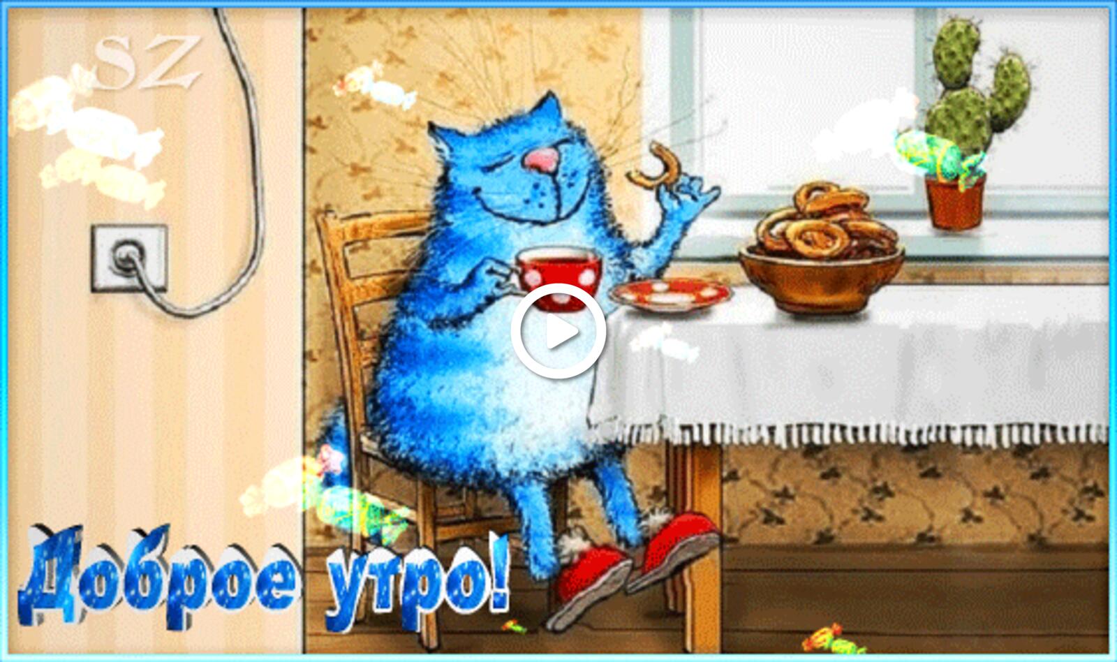 A postcard on the subject of good morning animation funny miscellaneous cat for free