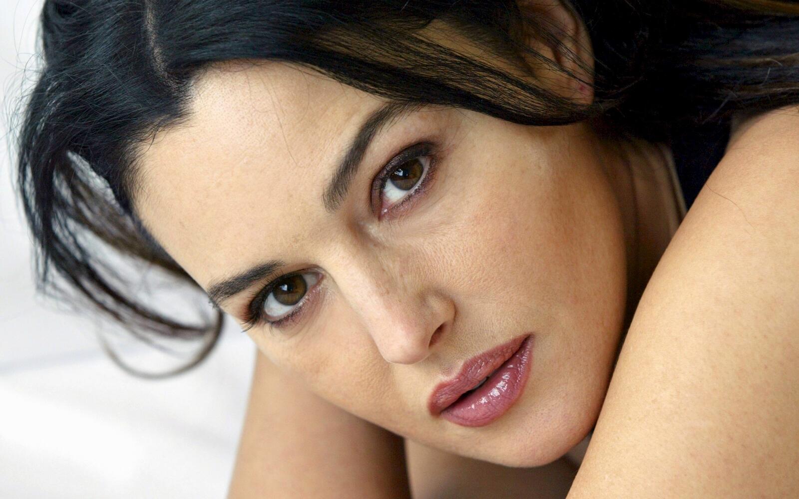 Wallpapers Monica Bellucci looking at the viewer actress on the desktop