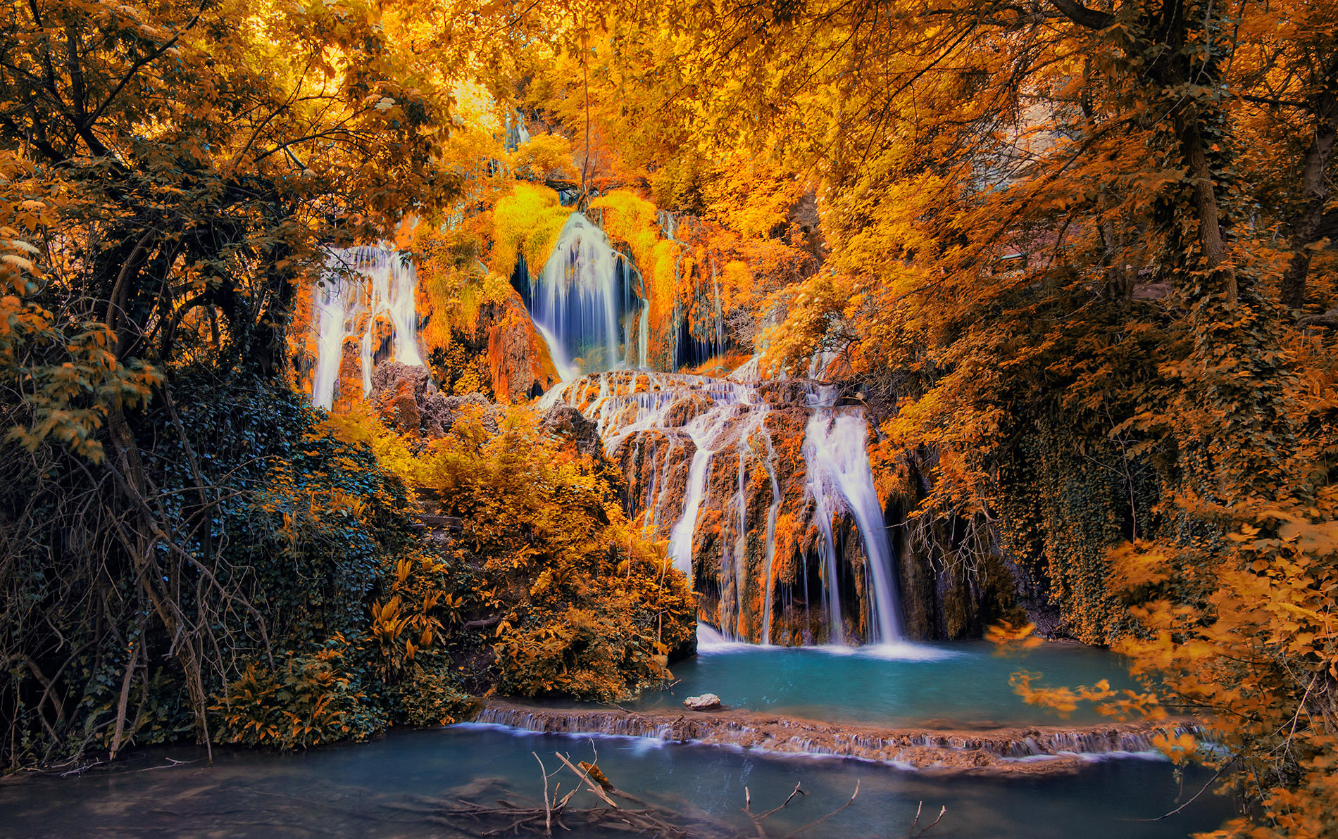 Фото бесплатно осень, река, желтые листья