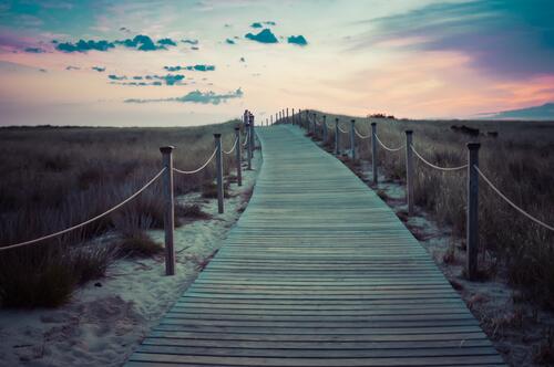A wooden path through the sand
