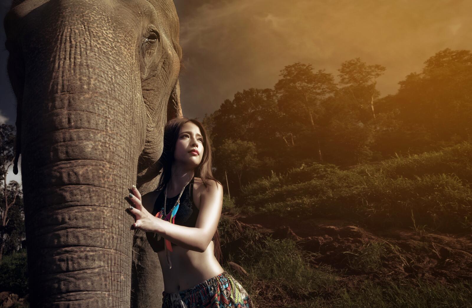 Wallpapers woman asian elephant on the desktop
