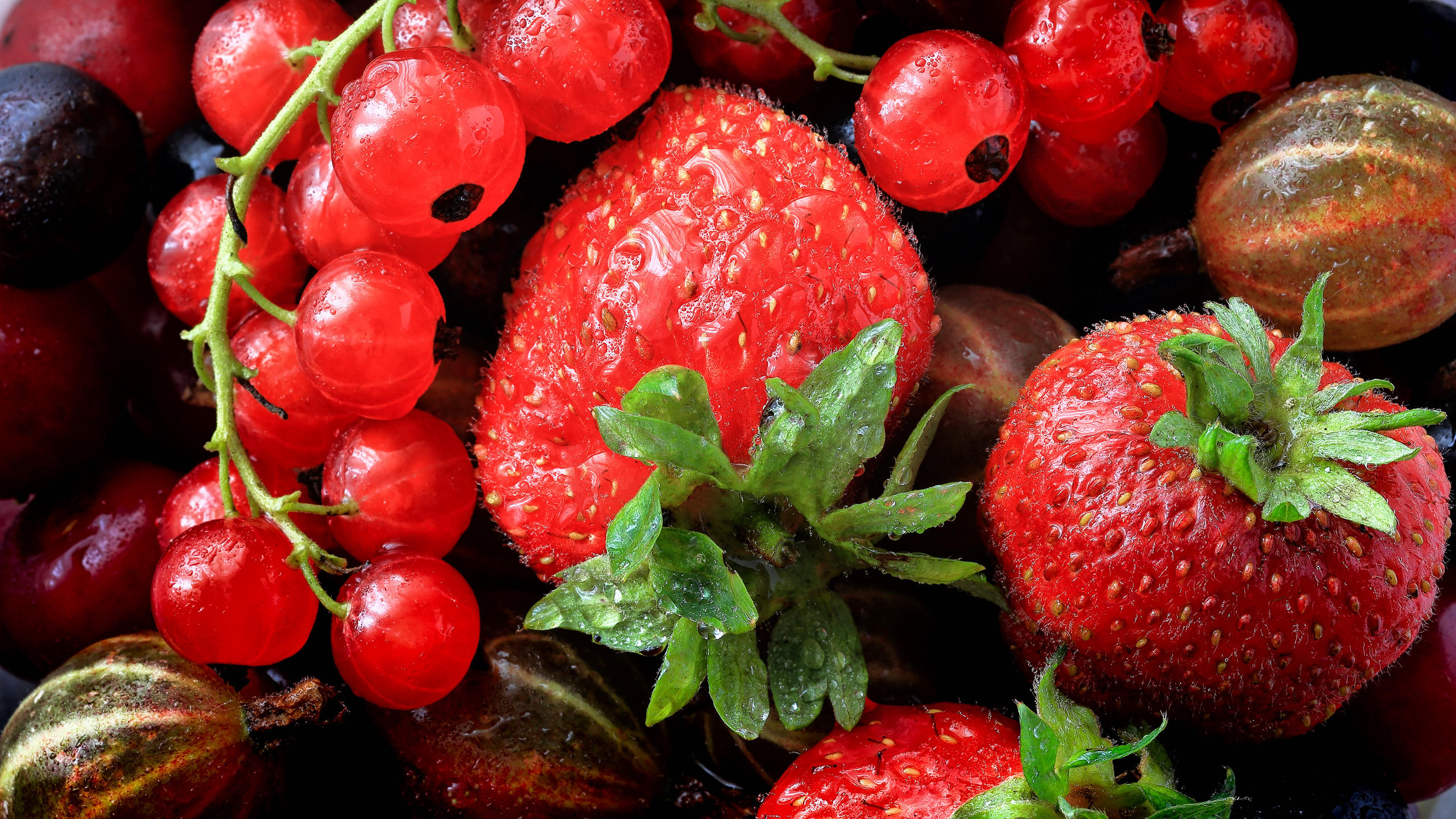 Wallpapers strawberries currants gooseberries on the desktop