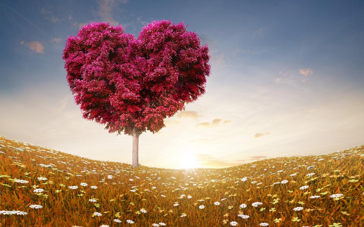 Крона дерева в виде сердца розовым цветом