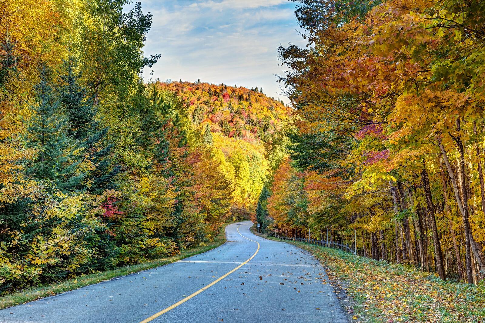 Wallpapers road landscape paints of autumn on the desktop