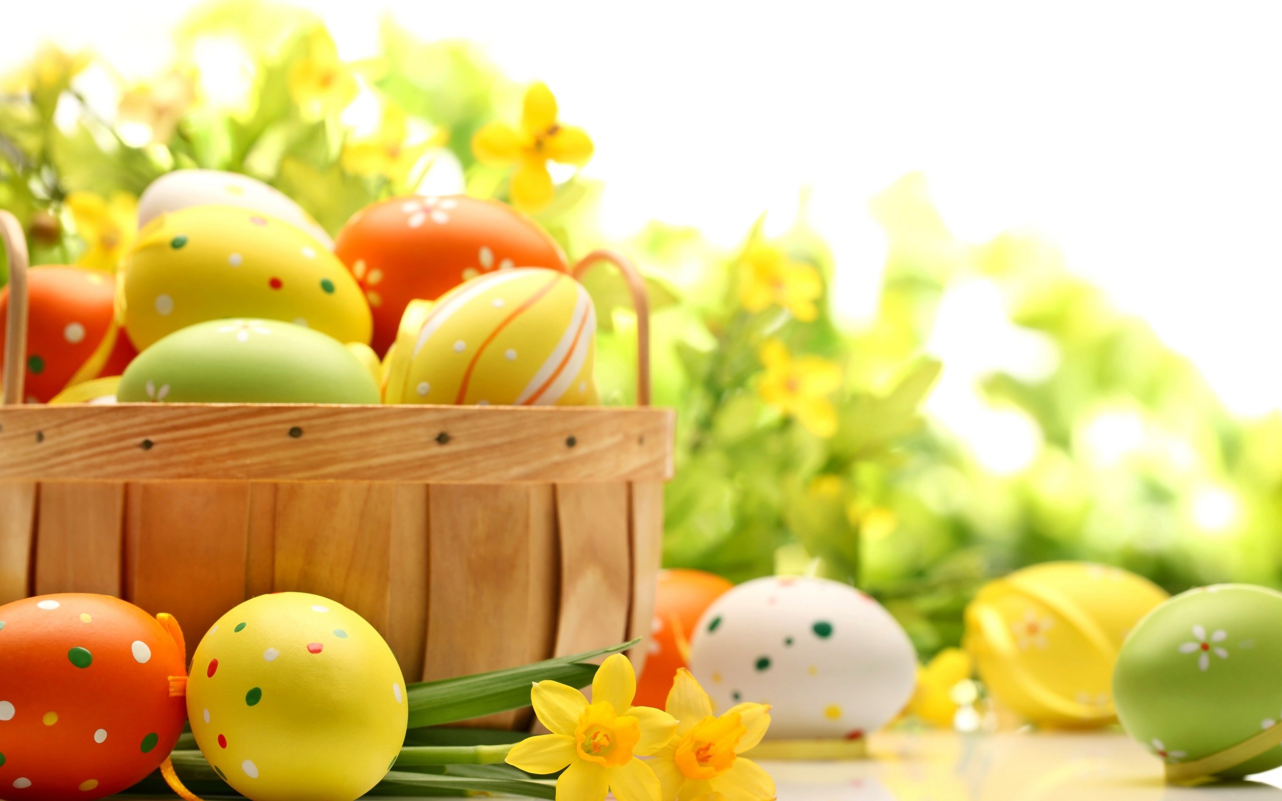 Фото бесплатно крашеные яйца, цветные яйца, корзина с яйцами