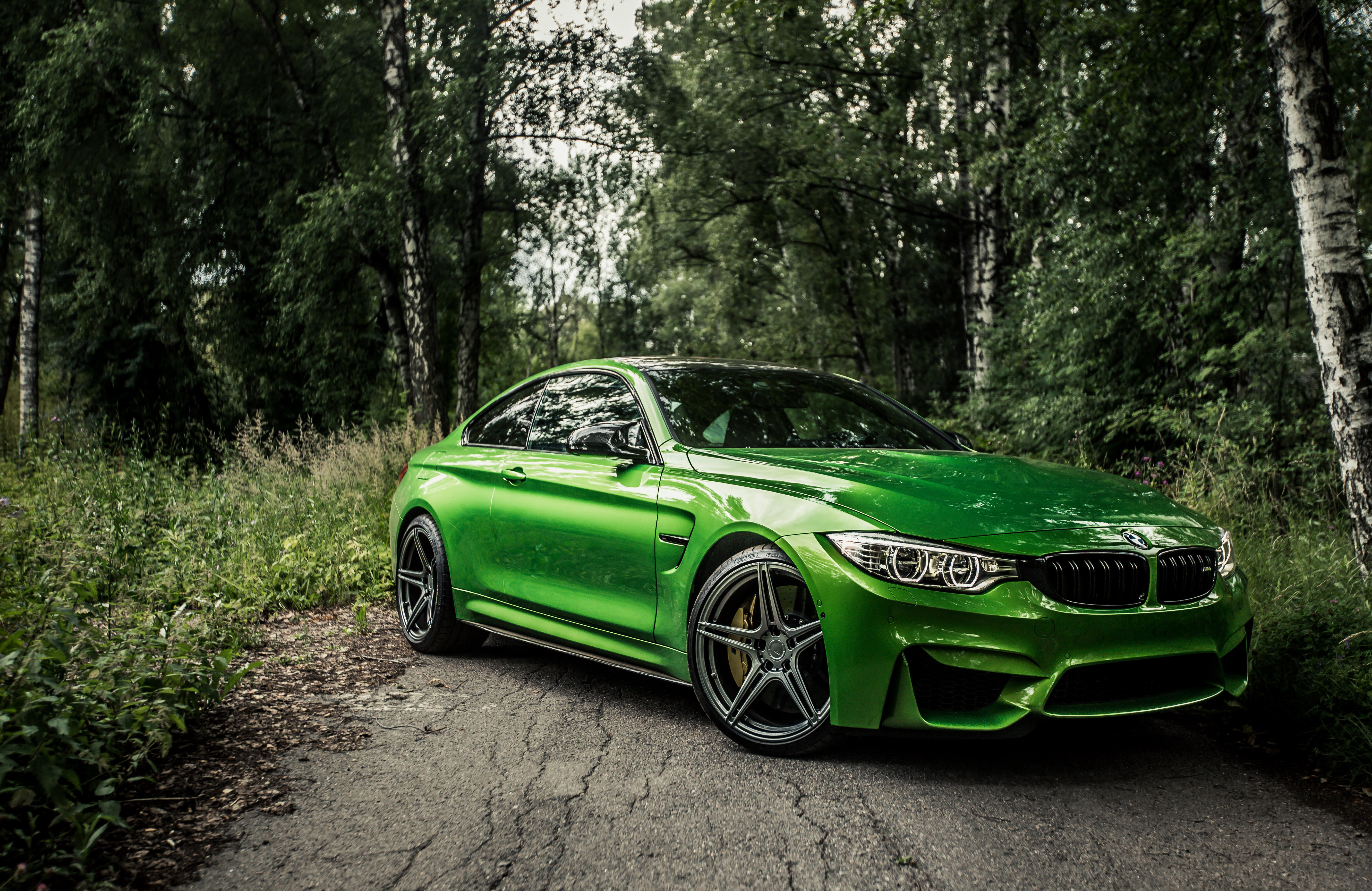 Wallpapers green bmw cars BMW on the desktop