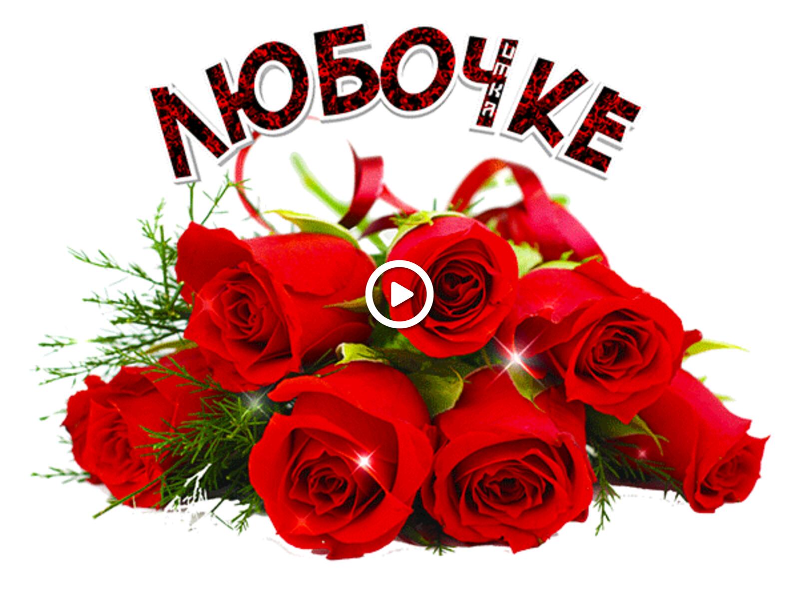 red roses roses to lubitschke