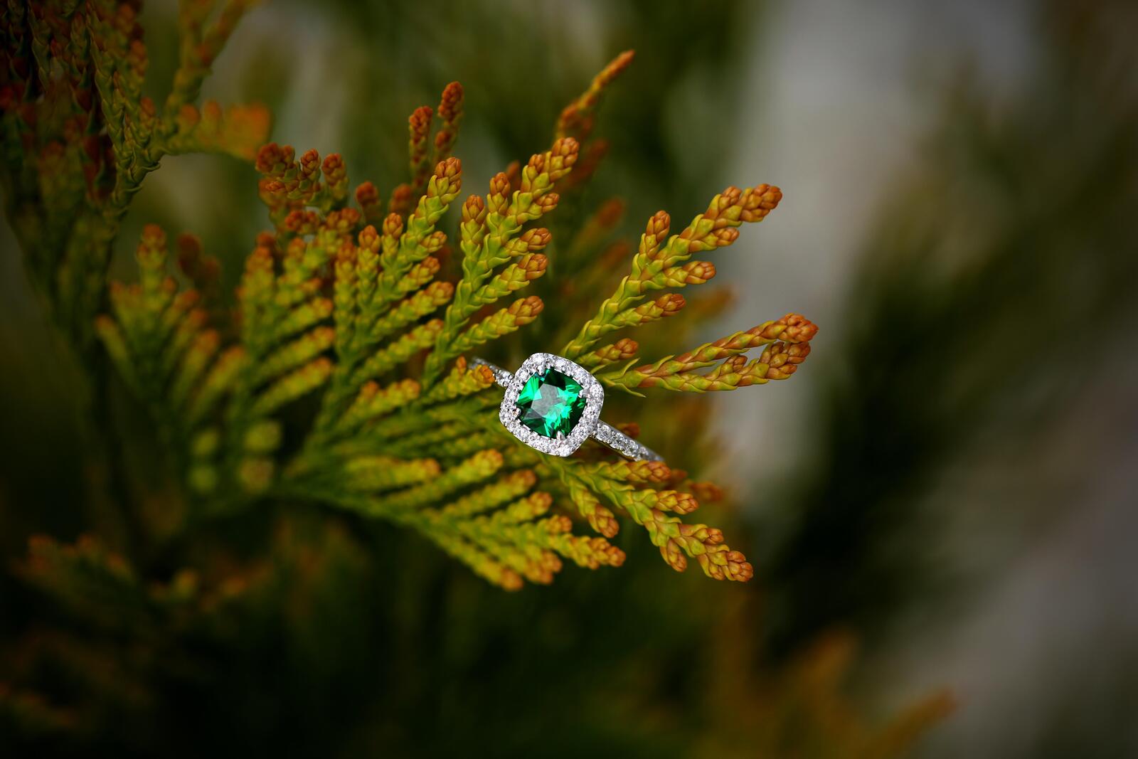Wallpapers ring decoration emerald on the desktop