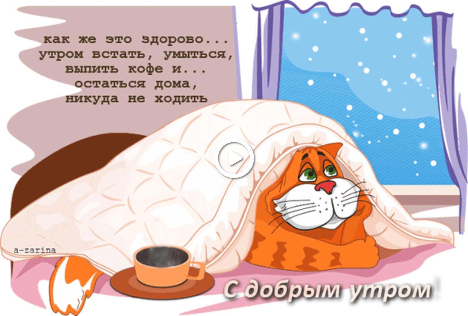 一张以早上好 猫 毯子为主题的明信片