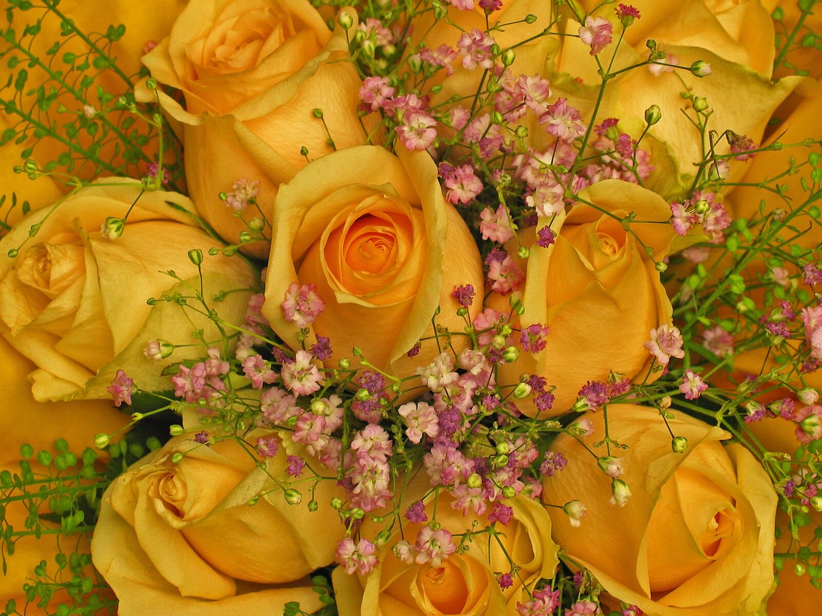 Free photo Golden roses
