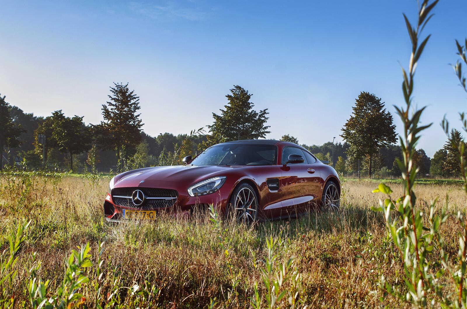 Wallpapers Mercedes Benz AMG red grass vehicles on the desktop