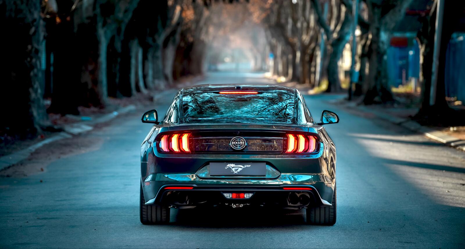 Wallpapers view from behind road muscle cars on the desktop