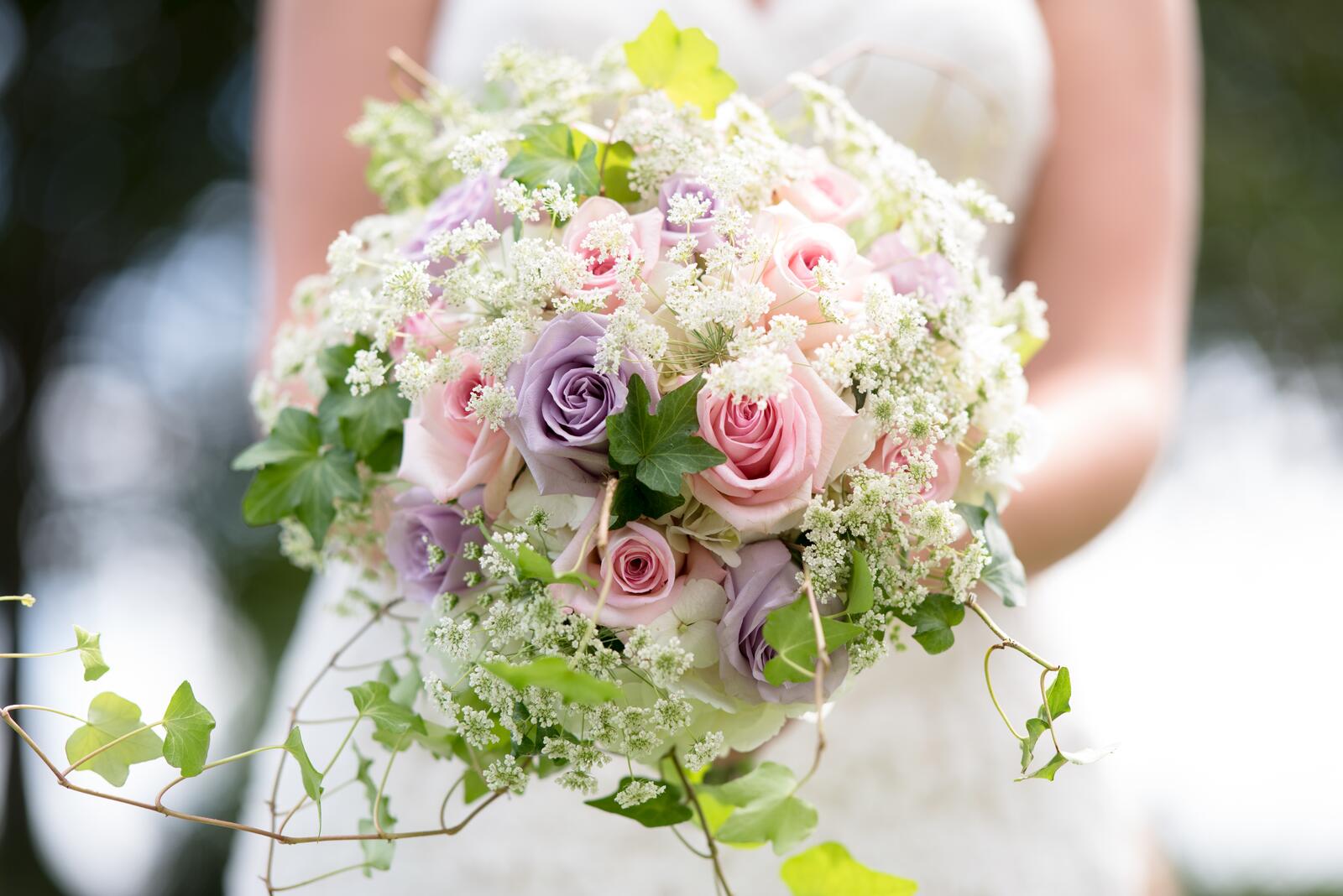 Обои невеста букет разноцветные розы на рабочий стол