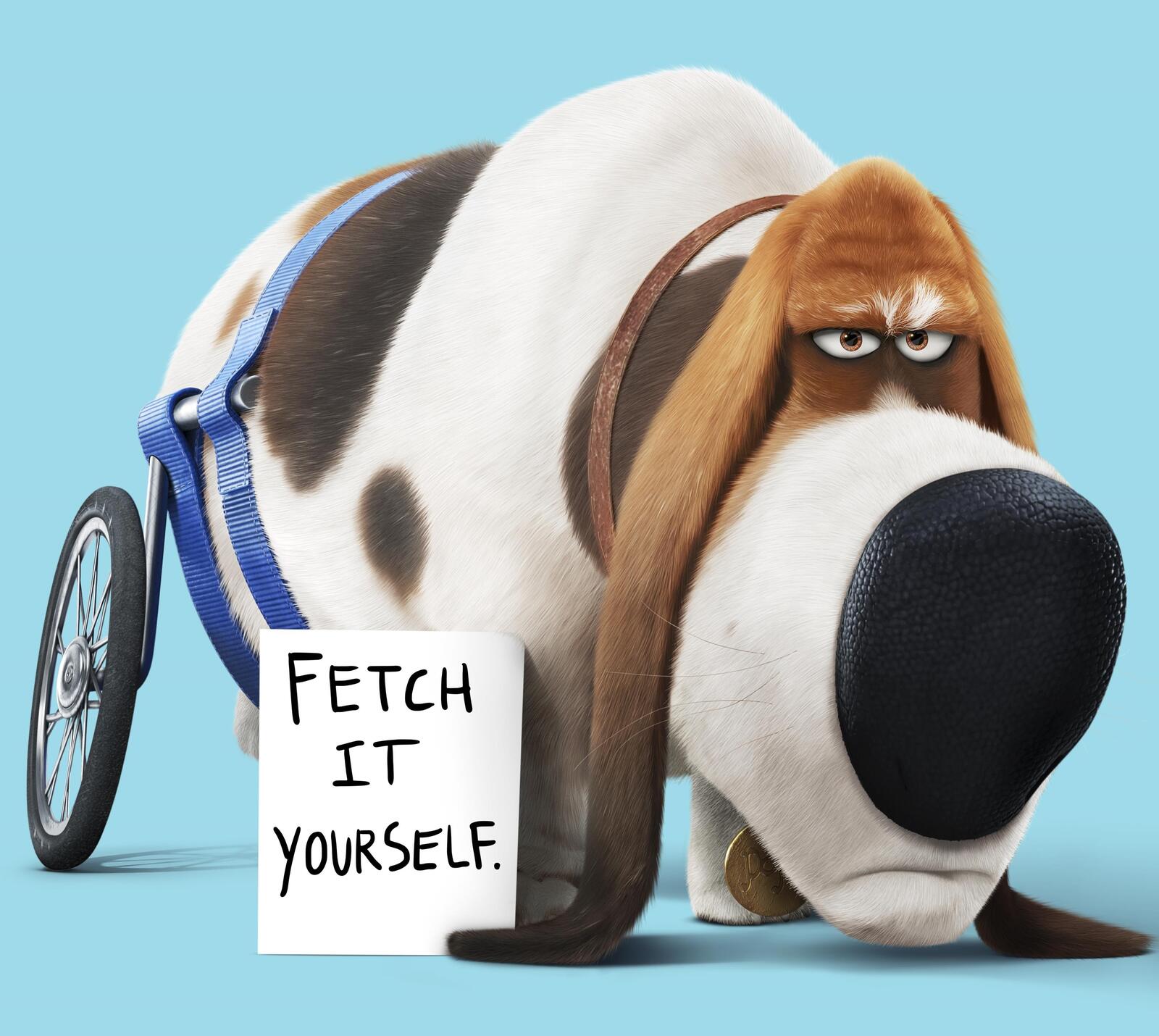 Wallpapers 2016 movies The Secret Life Of Pets animated movies on the desktop