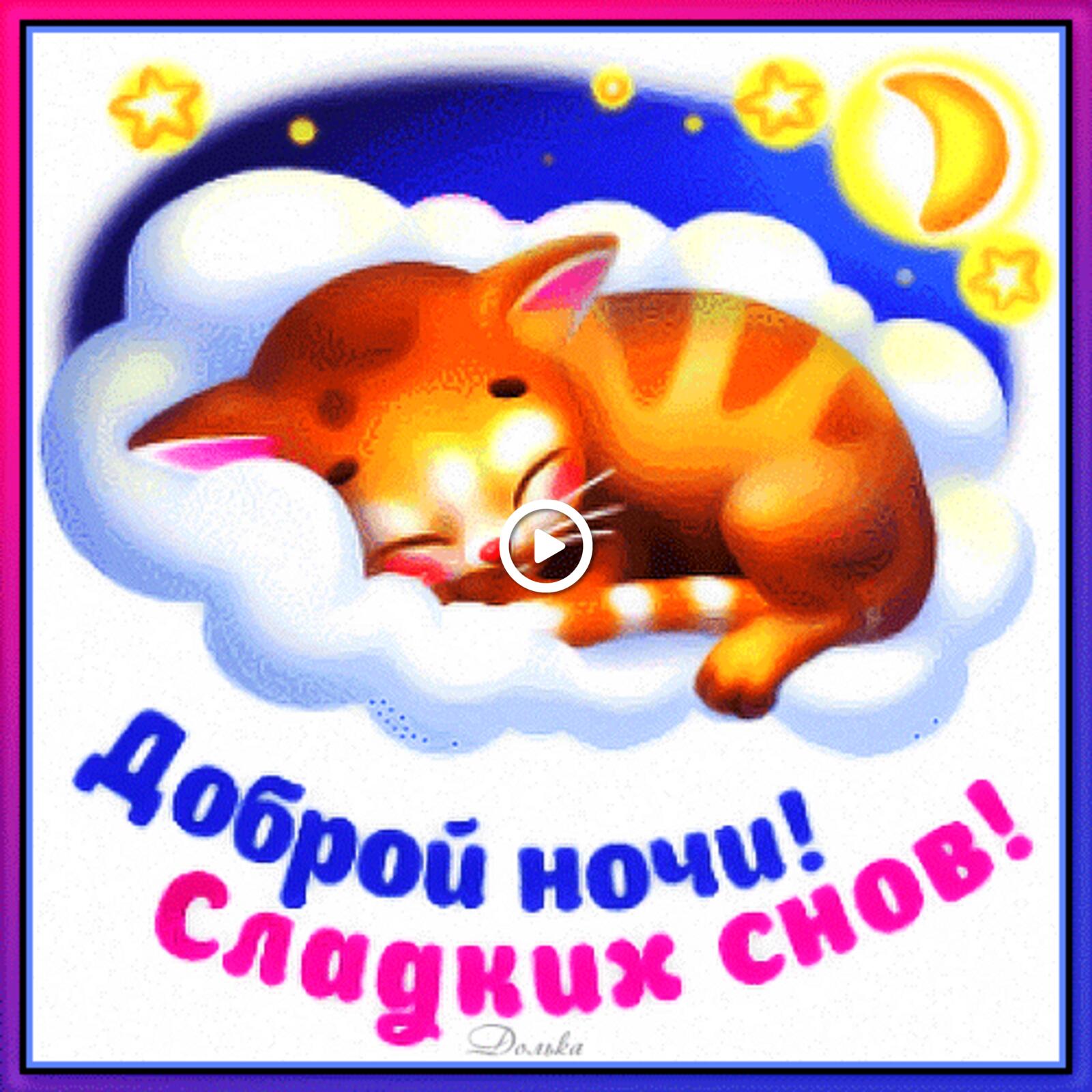 good night sweet dreams kitten request