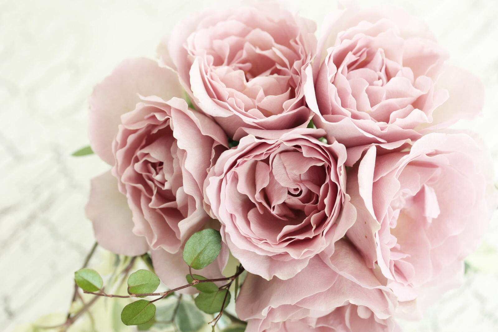 Бесплатное фото Букет из нежно-розовых роз