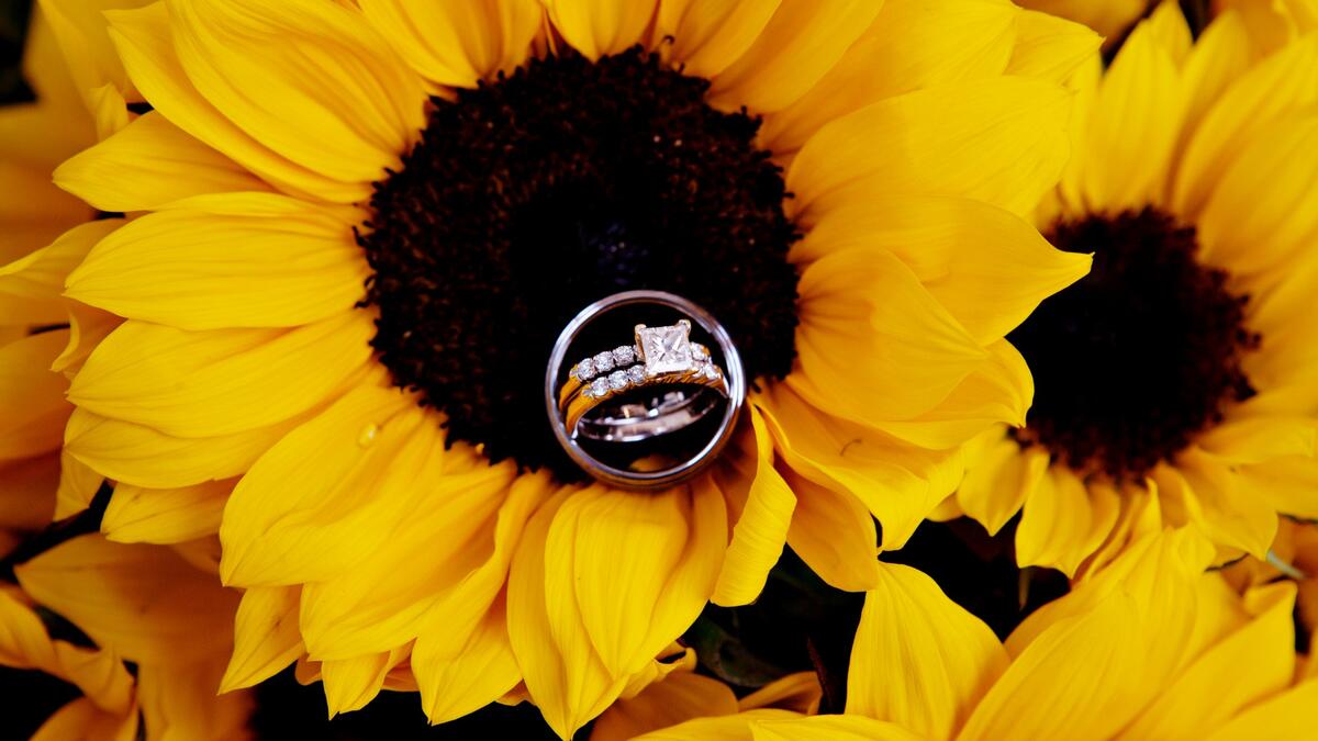 The sunflower engagement ring