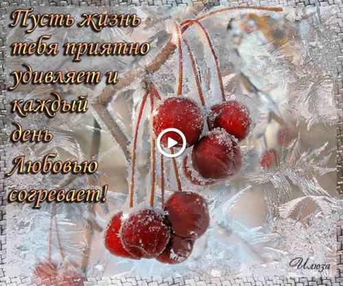have a nice winter day and a good mood winter greeting cards have a nice winter day and a great mood