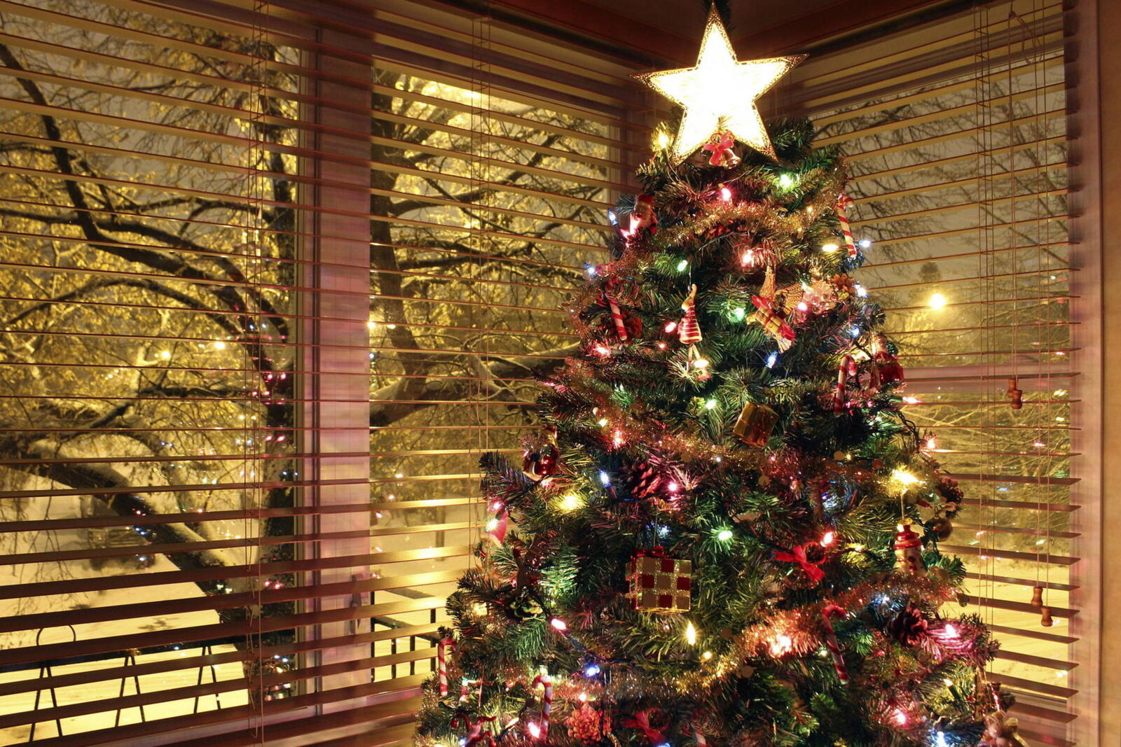 Бесплатное фото Светящаяся новогодняя елка у окна