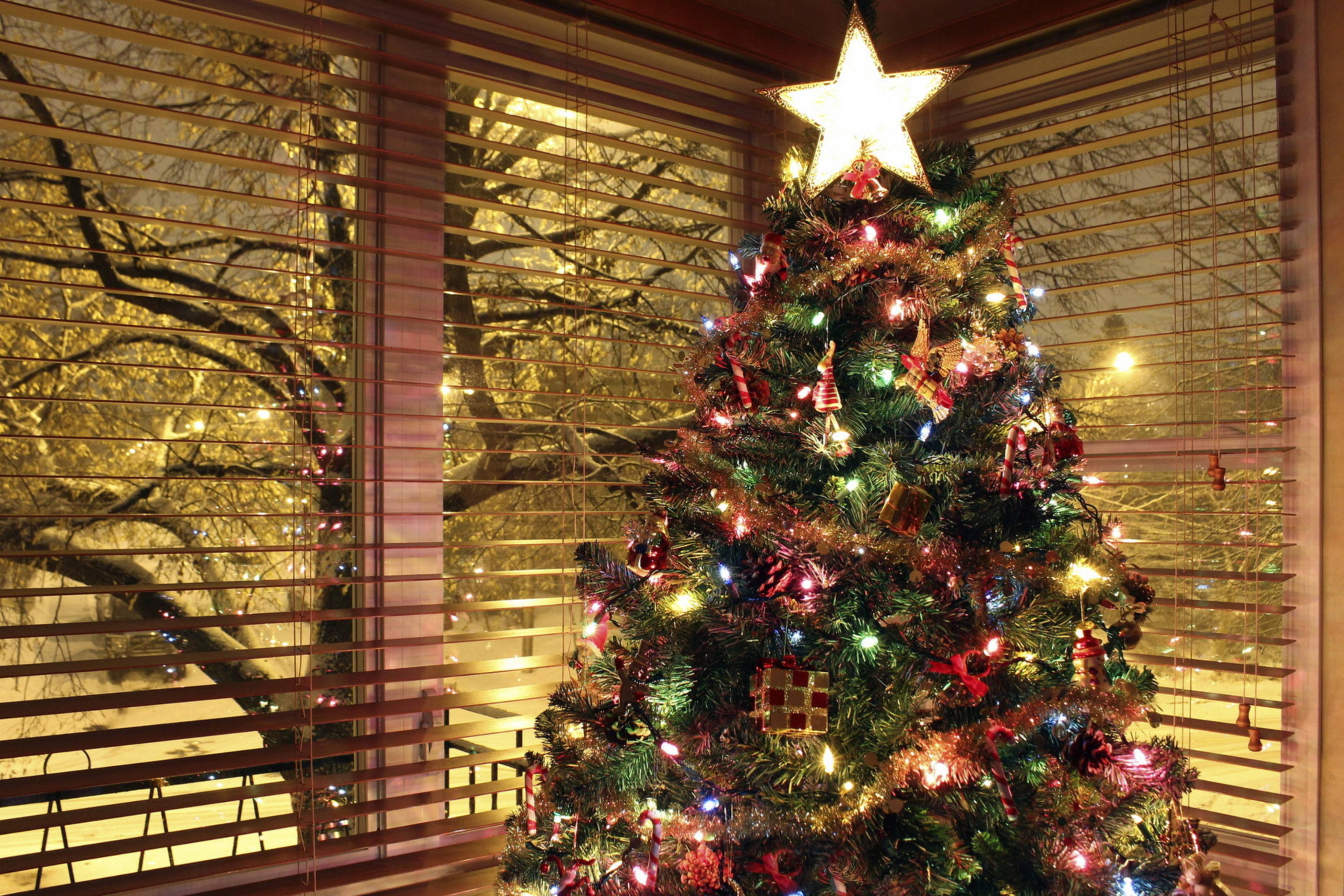 Светящаяся новогодняя елка у окна