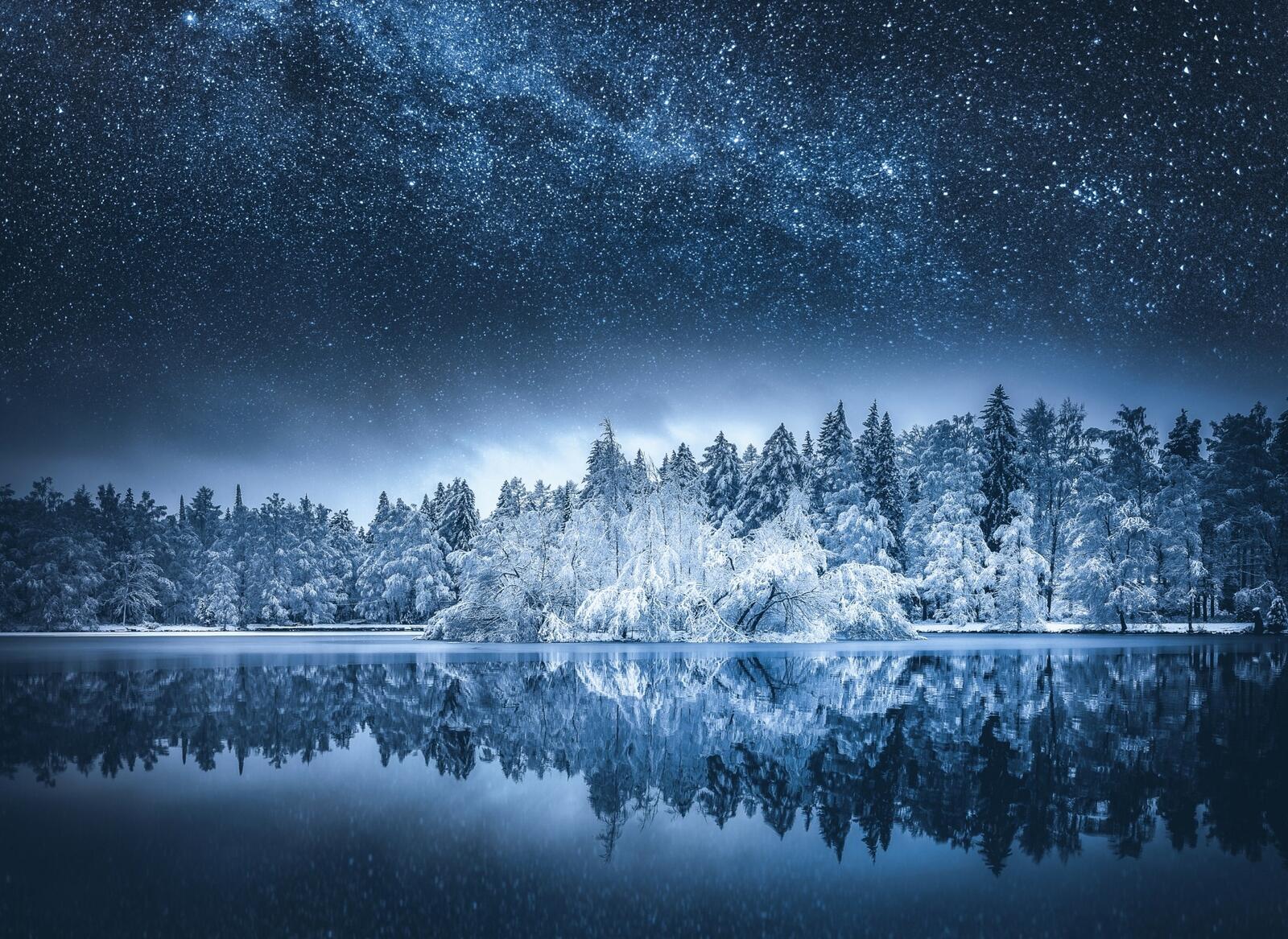 Бесплатное фото Снежные деревья у реки