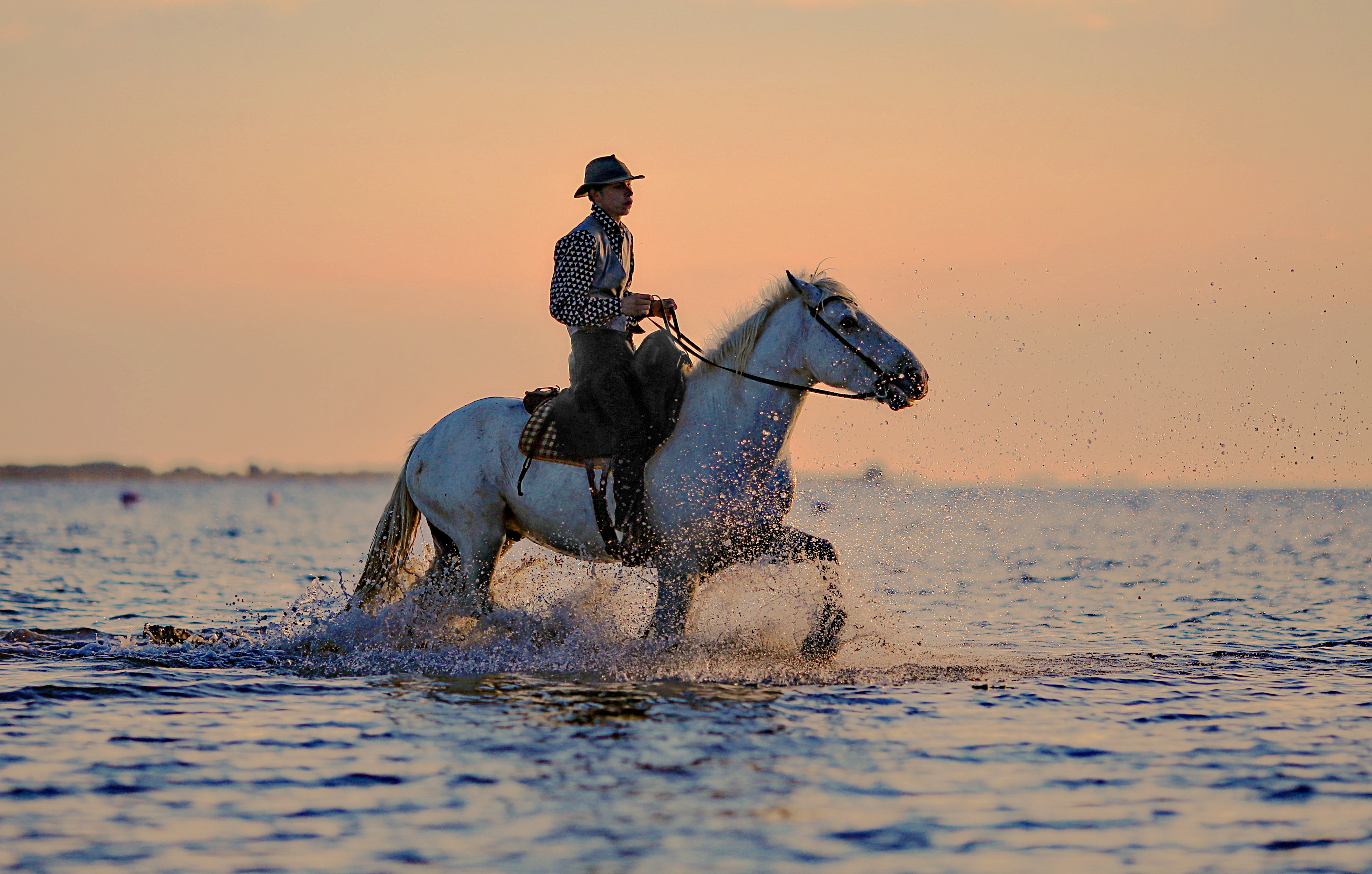 Фото бесплатно лошадь, море, пеший туризм