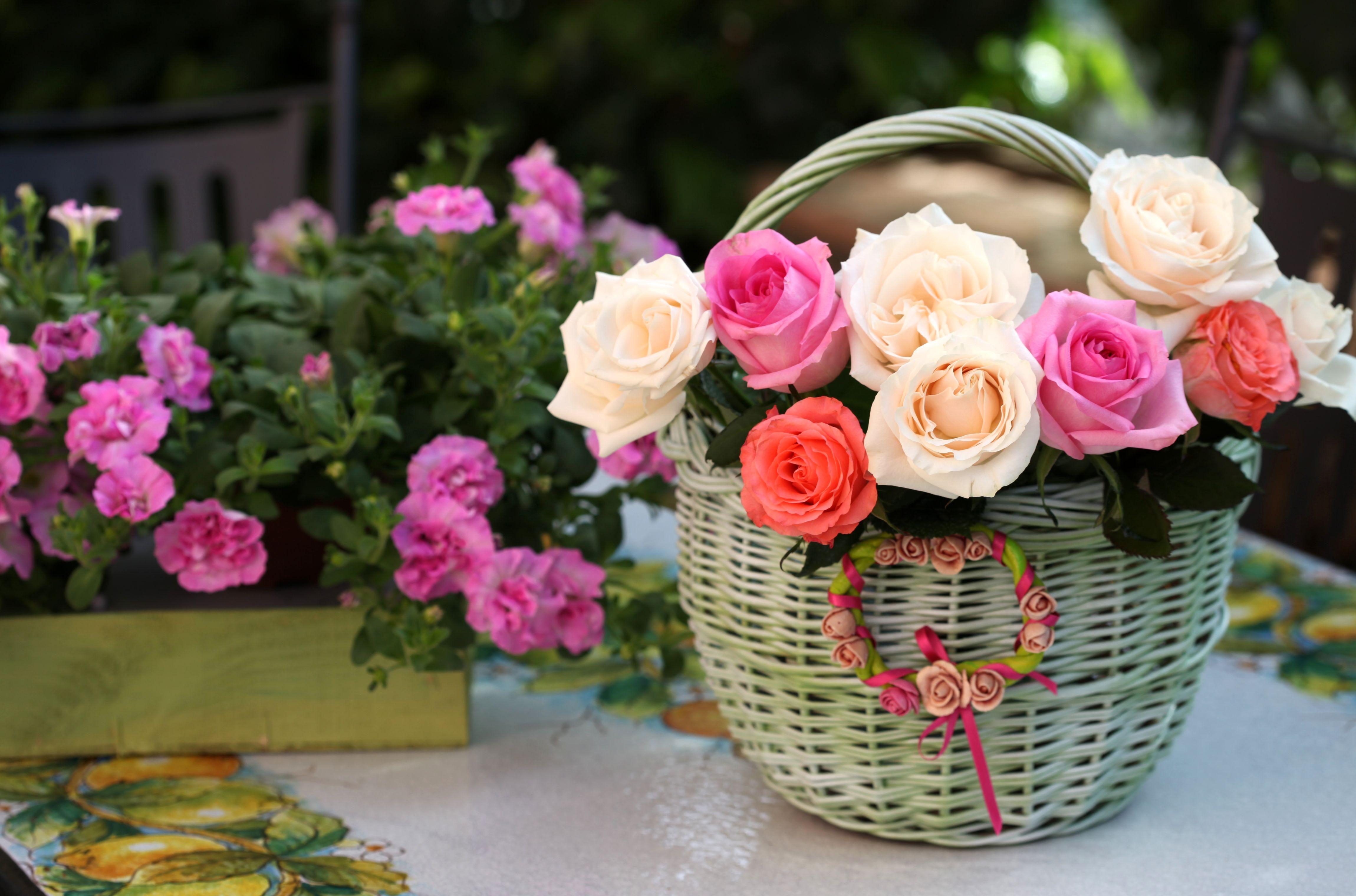 Free photo A basket of colored roses