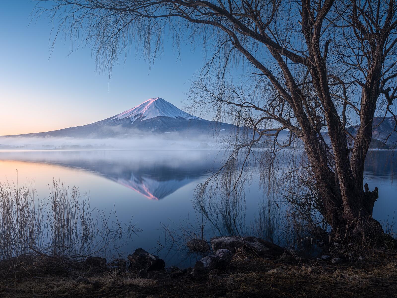 Обои Mount Fuji lake Kawaguchi Yamanashi на рабочий стол