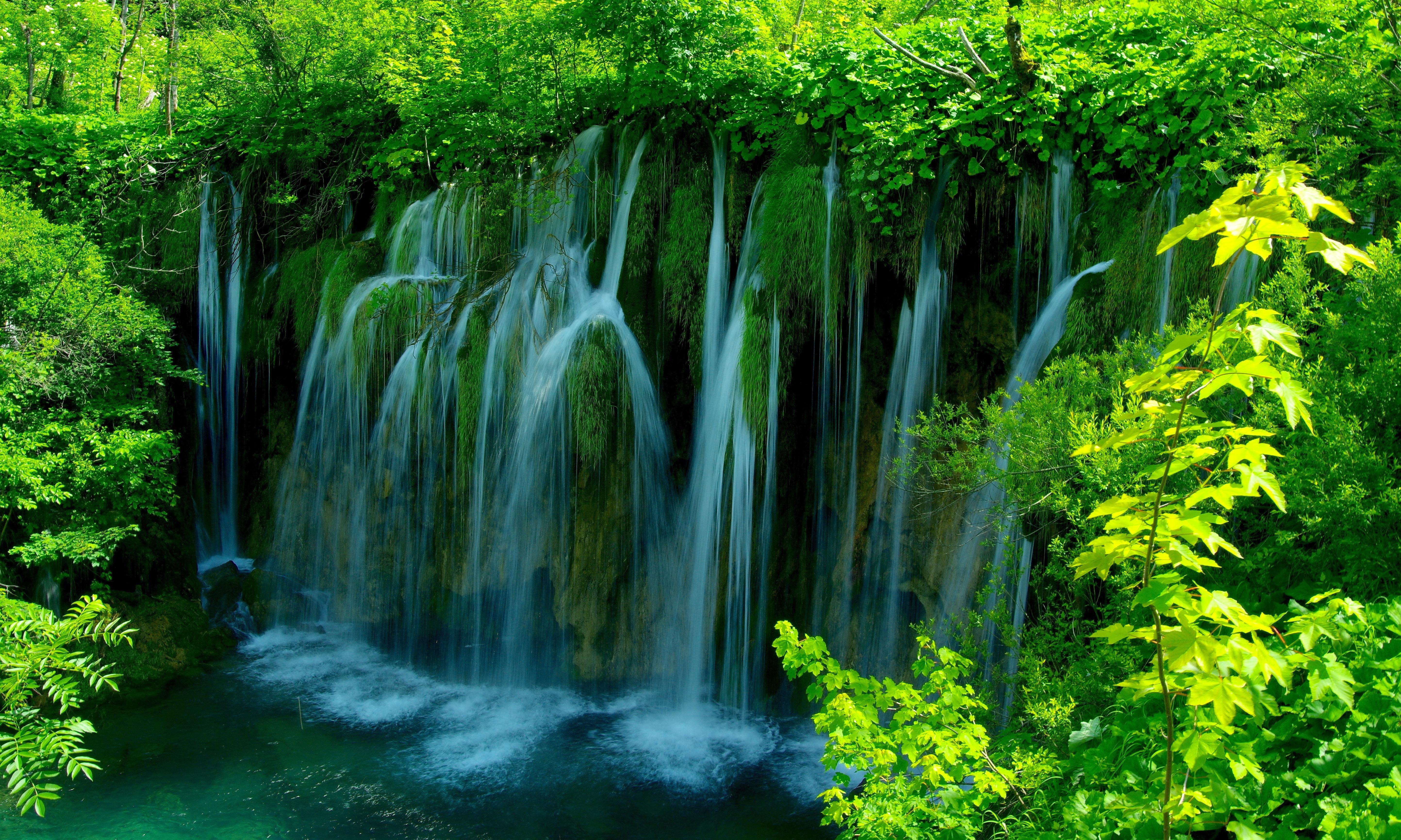 Wallpapers Plitvice Lakes waterfall in the forest green leaves on the desktop