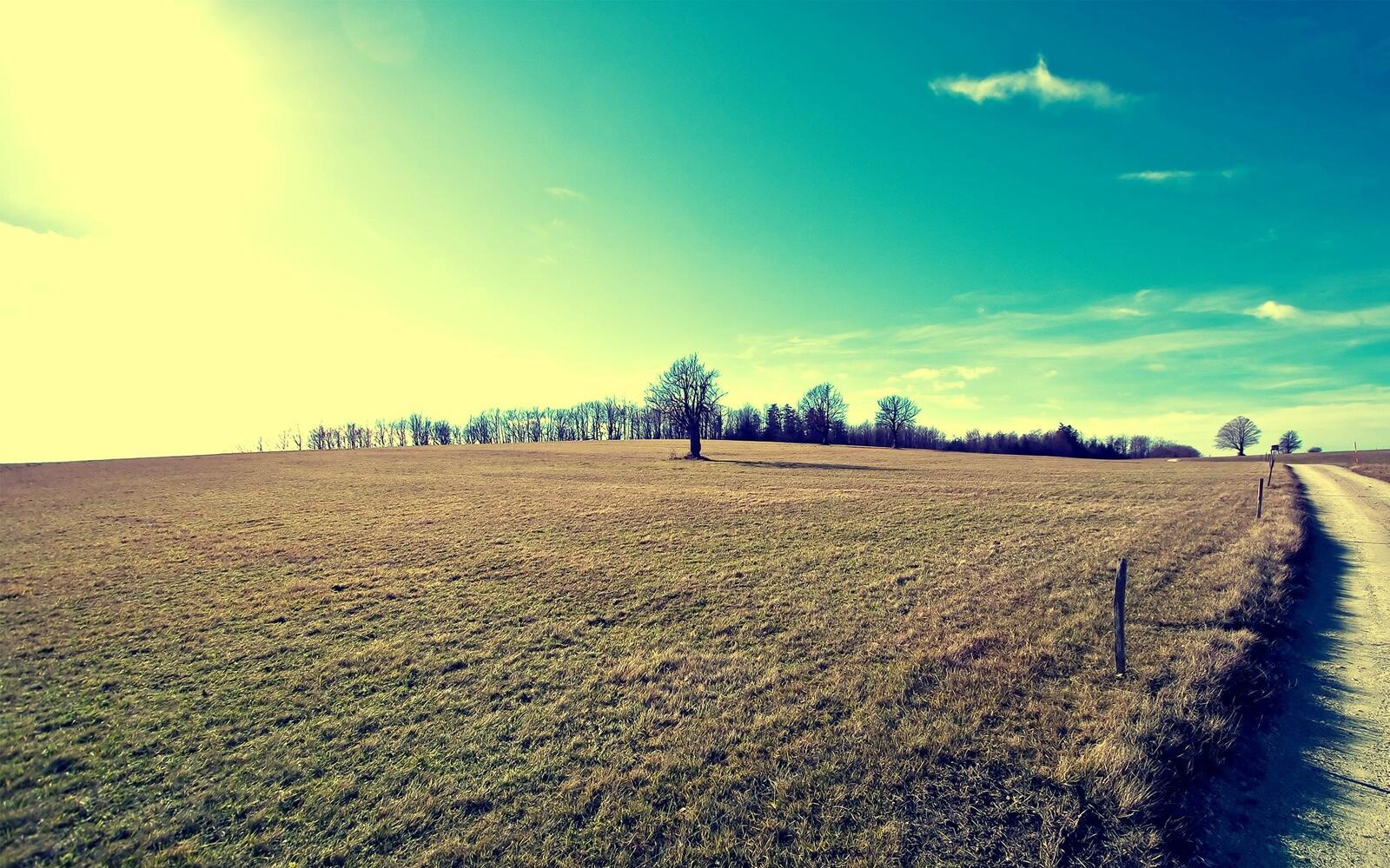 Бесплатное фото Большое поле под солнцем