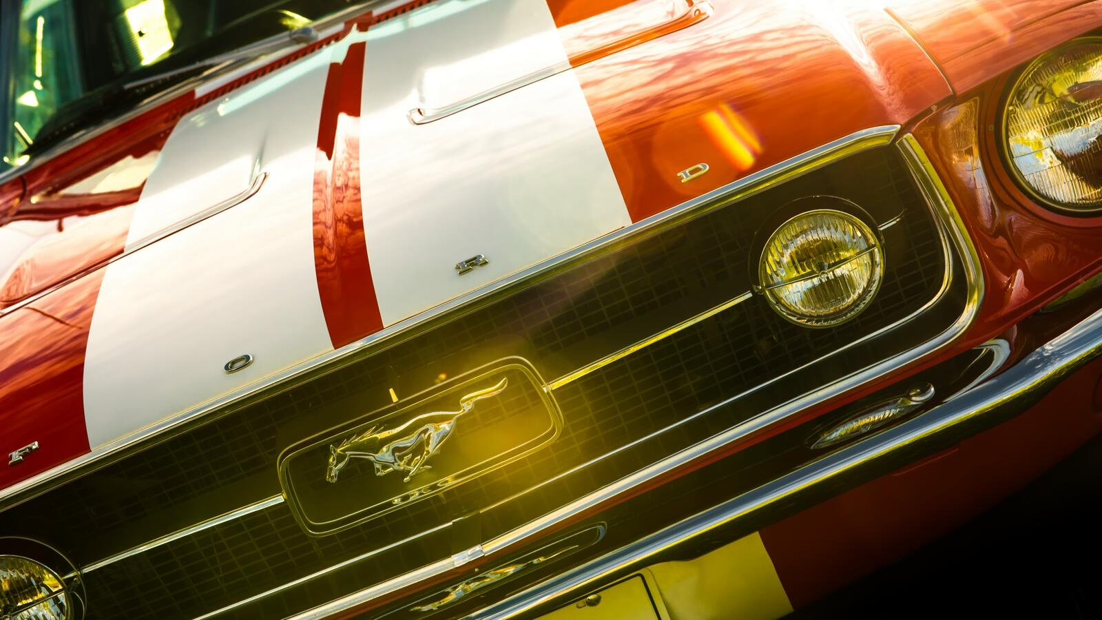 Wallpapers Ford Mustang front view close on the desktop