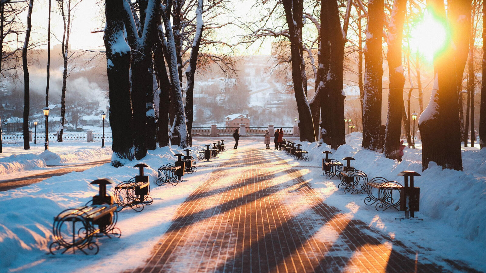 Бесплатное фото Зимняя аллея морозным днем