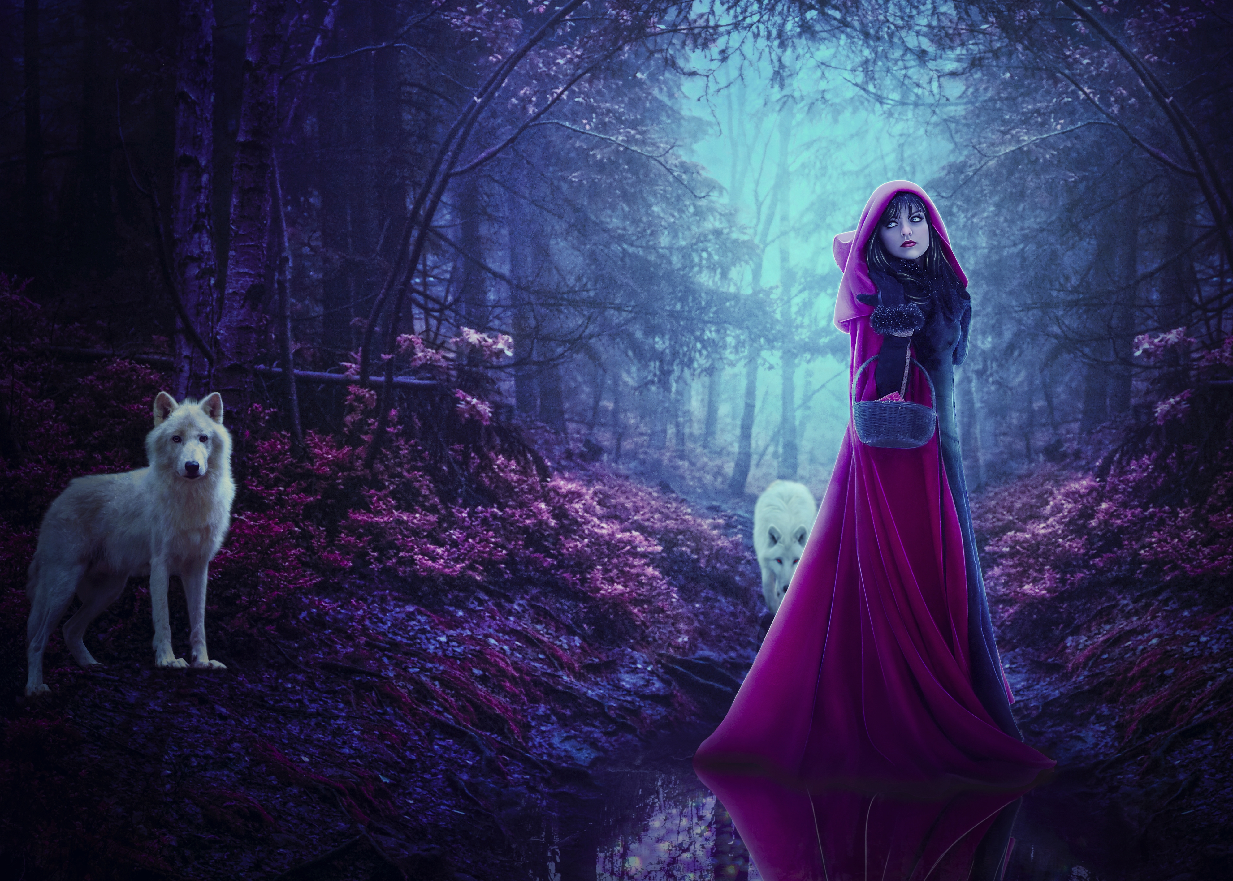 Wallpapers mystical forest girl wolves on the desktop