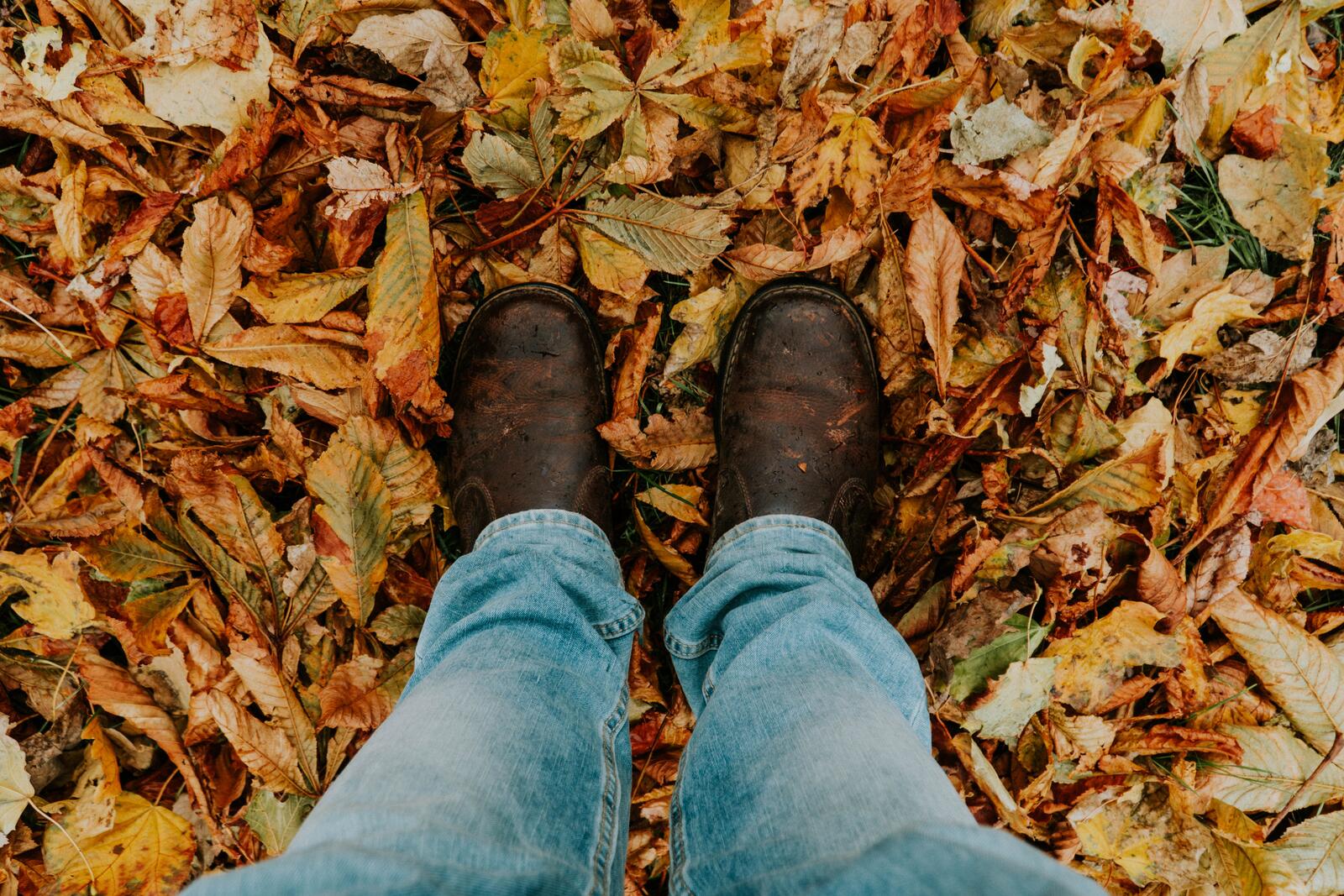 Обои foliage feet autumn на рабочий стол