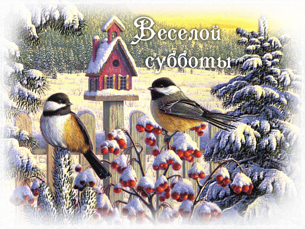 Postcard card my animations animations bluebirds - free greetings on Fonwall
