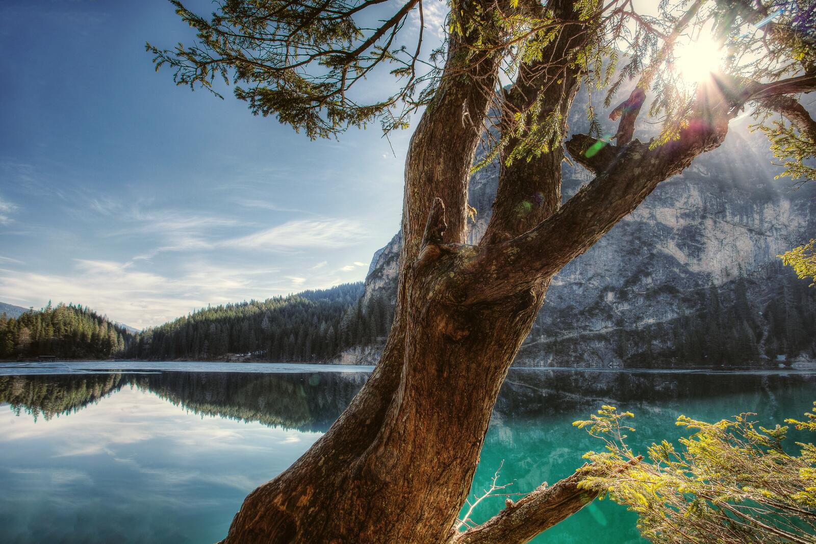 Бесплатное фото Солнечные лучи на озере в горах