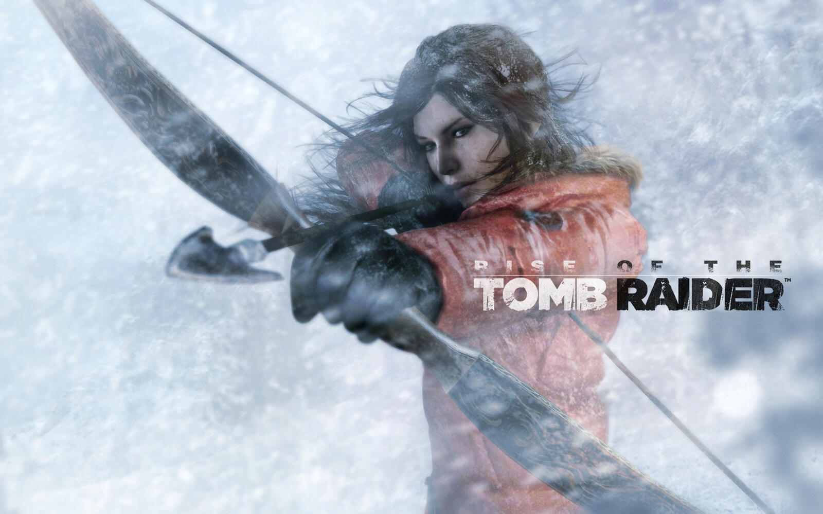 Wallpapers ps game tomb raider game on the desktop