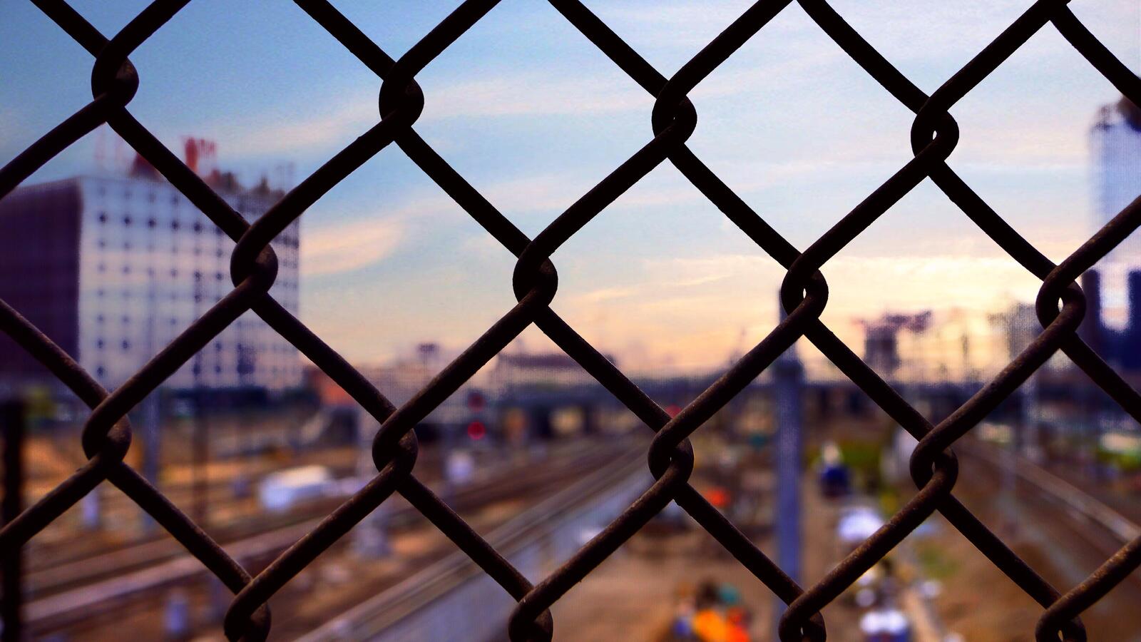 Free photo Iron mesh fence