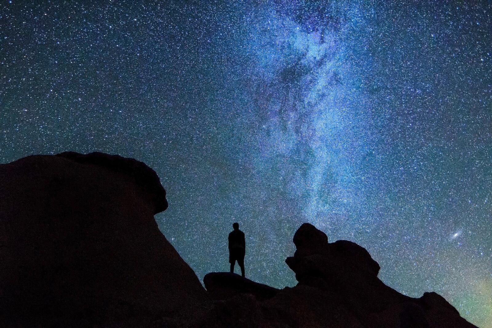 Wallpapers starry sky silhouette night on the desktop