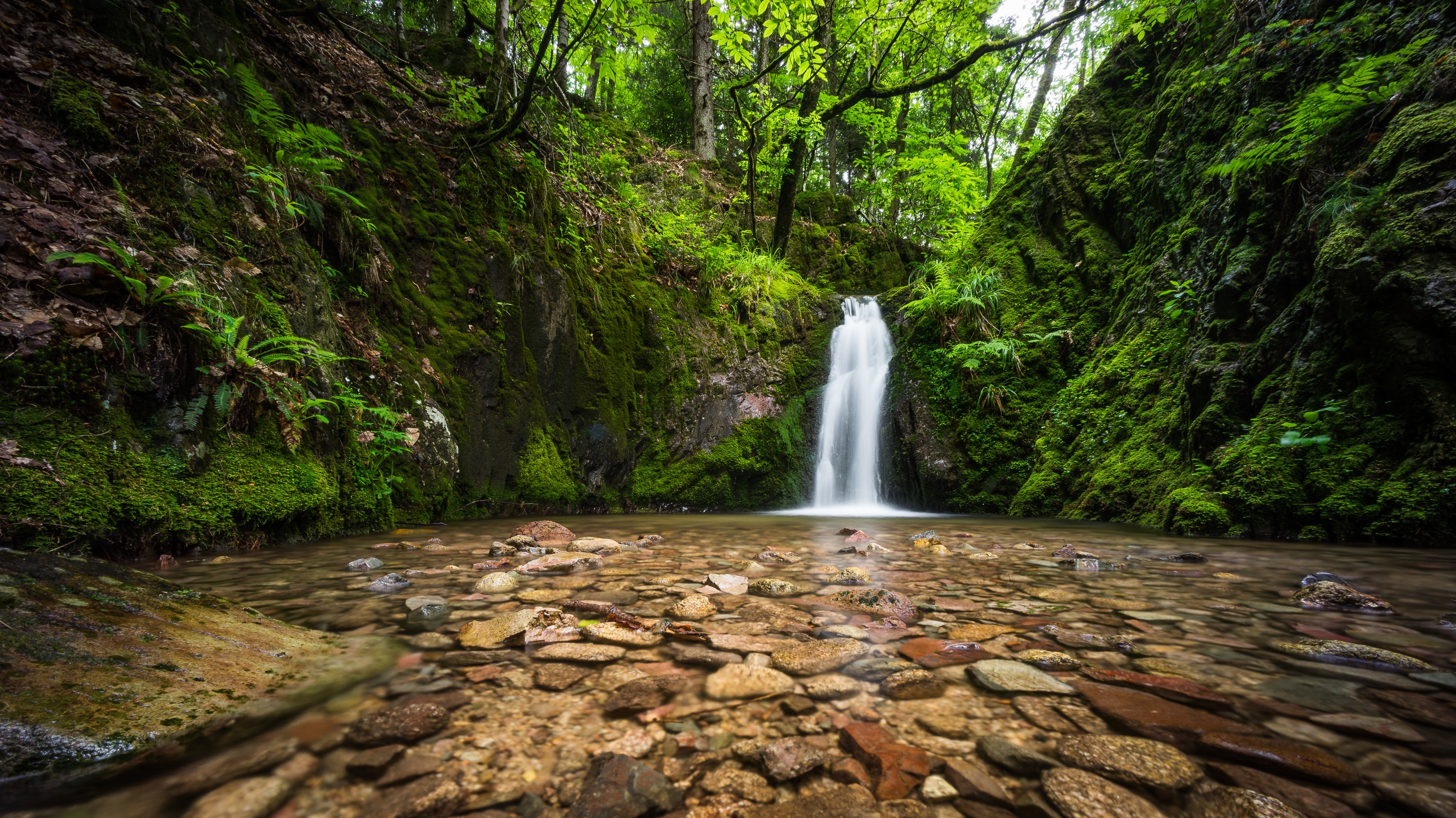 免费照片青苔覆盖的岩石间有一个小瀑布。