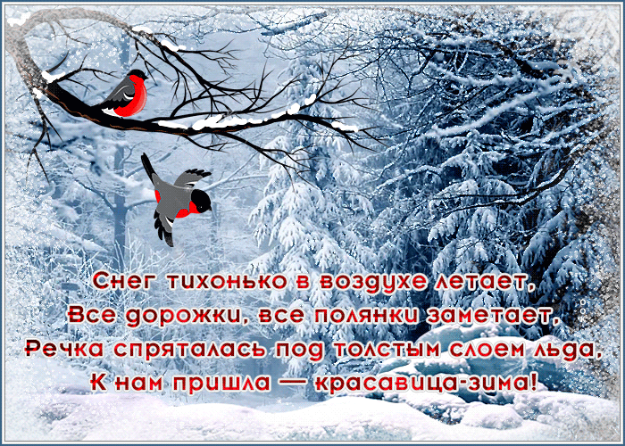 Postcard free playcast winter beauty, holiday, snow
