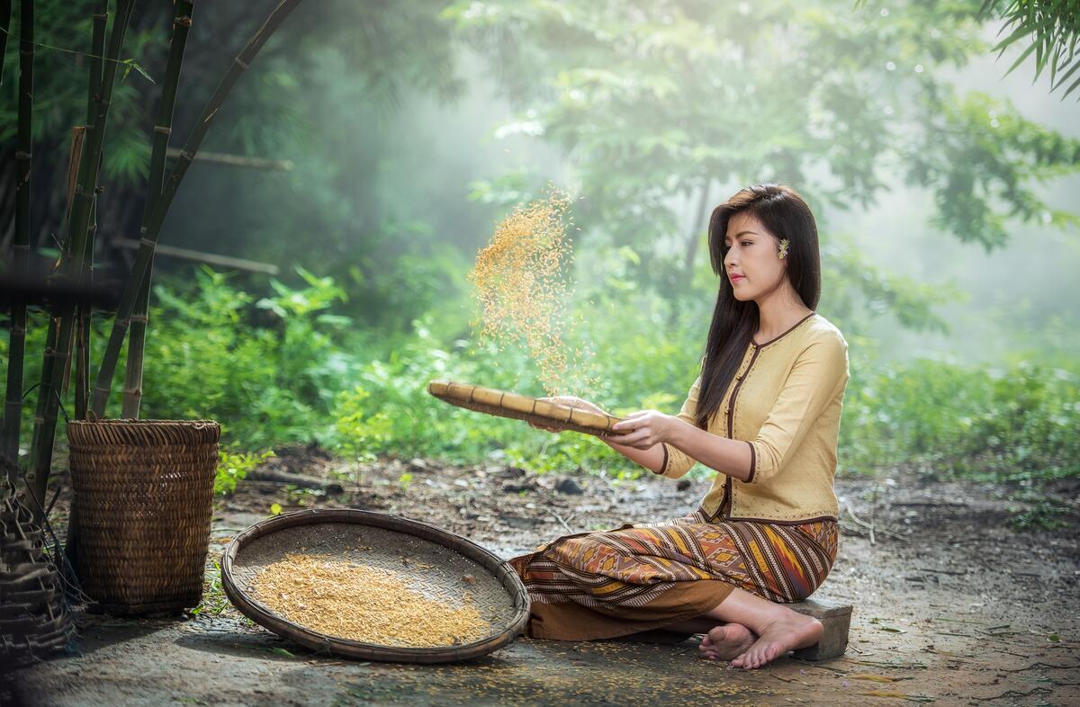泰国女孩用筛子过滤谷物。