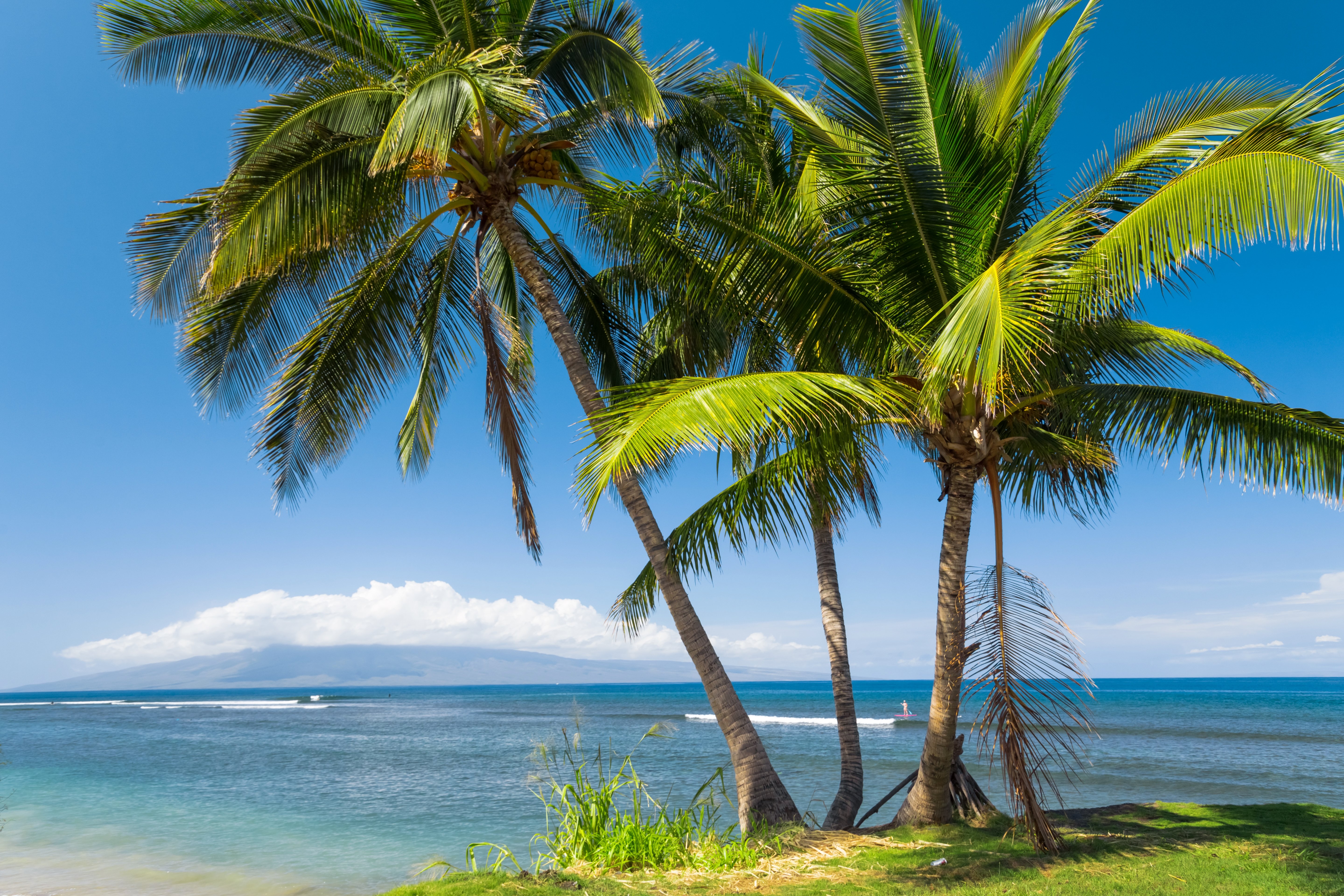 Фото бесплатно природа, обои гавайи, океан