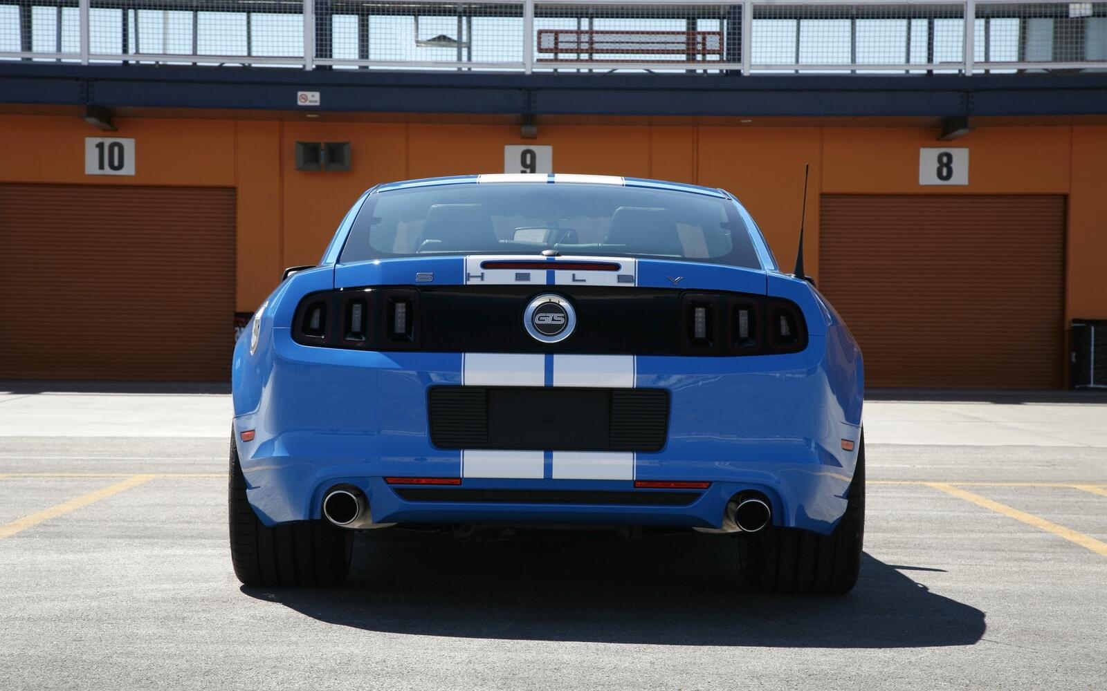 Wallpapers ford mustang shelby gts back view blue on the desktop