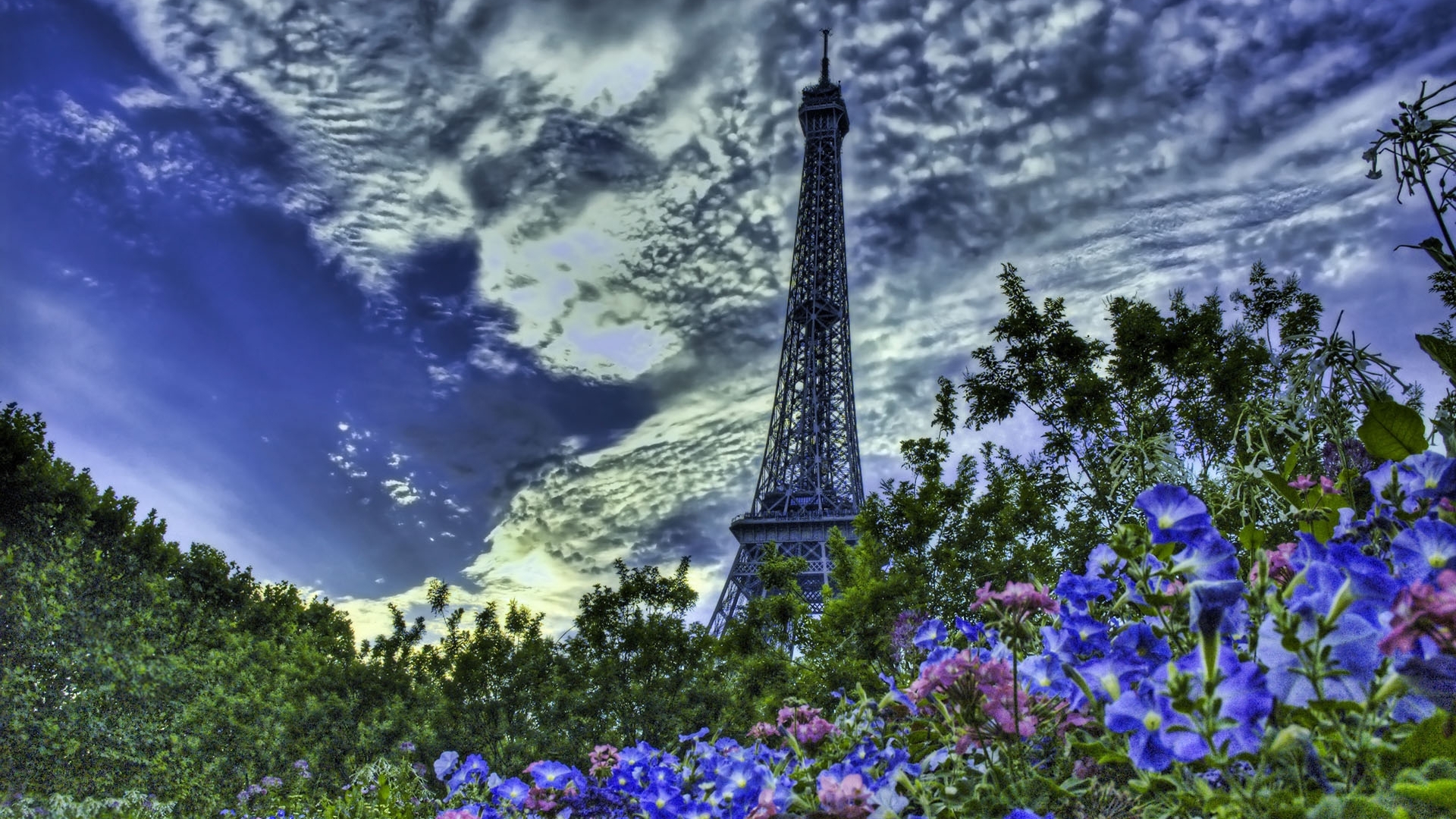 Wallpapers sky flowers Eiffel Tower on the desktop