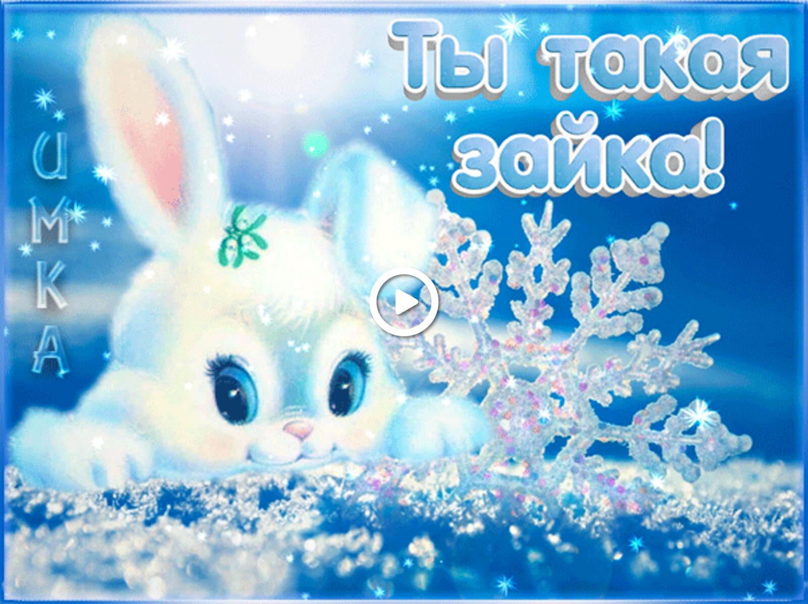 一张以兔子 冬季 雪为主题的明信片