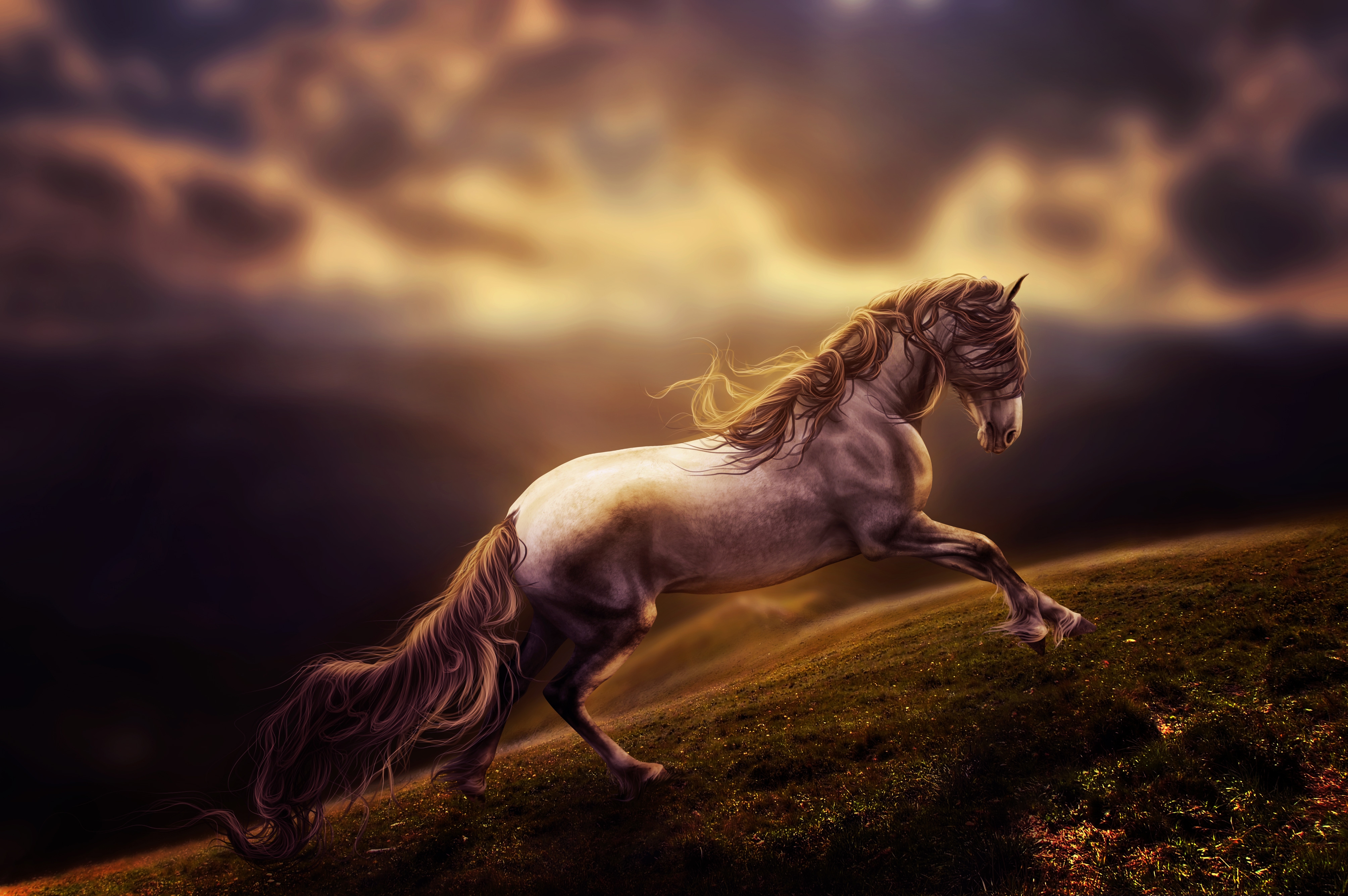 Фото бесплатно обои лошадь, цифровое искусство, бежит