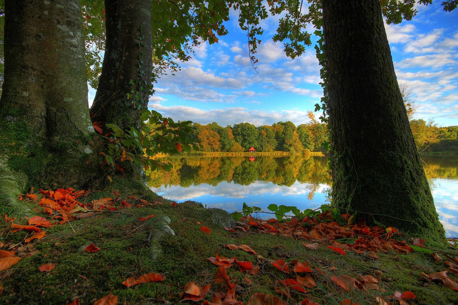 Обои Франция озеро осень деревья на рабочий стол