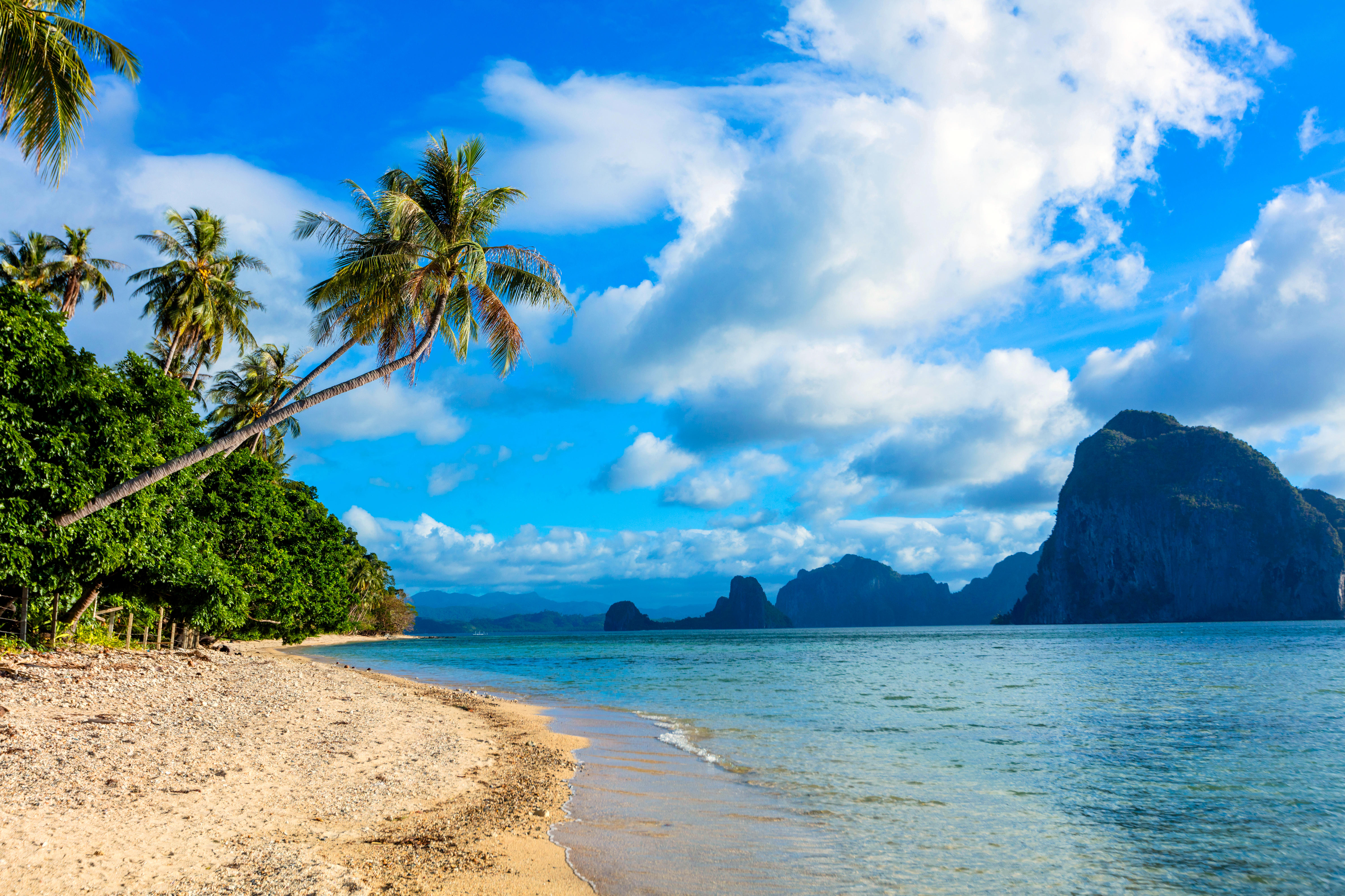 Фото бесплатно вид с берега, пальмовое дерево, пальмовые листья
